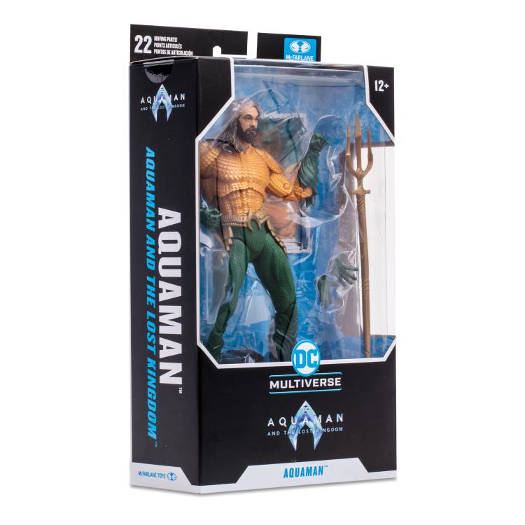Aquaman and the Lost Kingdom DC Multiverse Aquaman