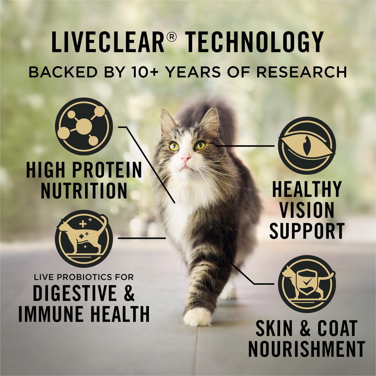 Purina Pro Plan LiveClear Allergen Reducing Dry Cat Food, Salmon & Rice 3.18kg 🍁 All In One Marketplace Canada