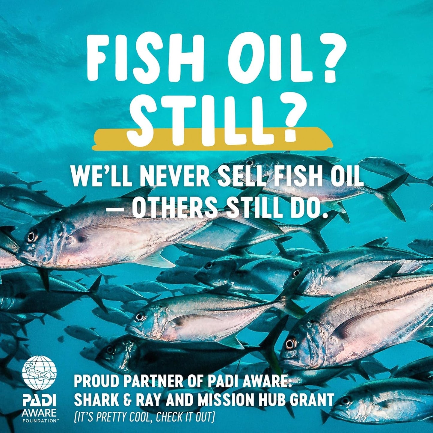 Freshfield Vegan Omega 3, Algae (Algal) Oil, Fish Oil Free Company, Third Party Tested, Carrageenan Free, DHA Supplement w/DPA, Plant Based Omega. Supports Heart, Brain, Joint Health 🍁 All In One Marketplace Canada