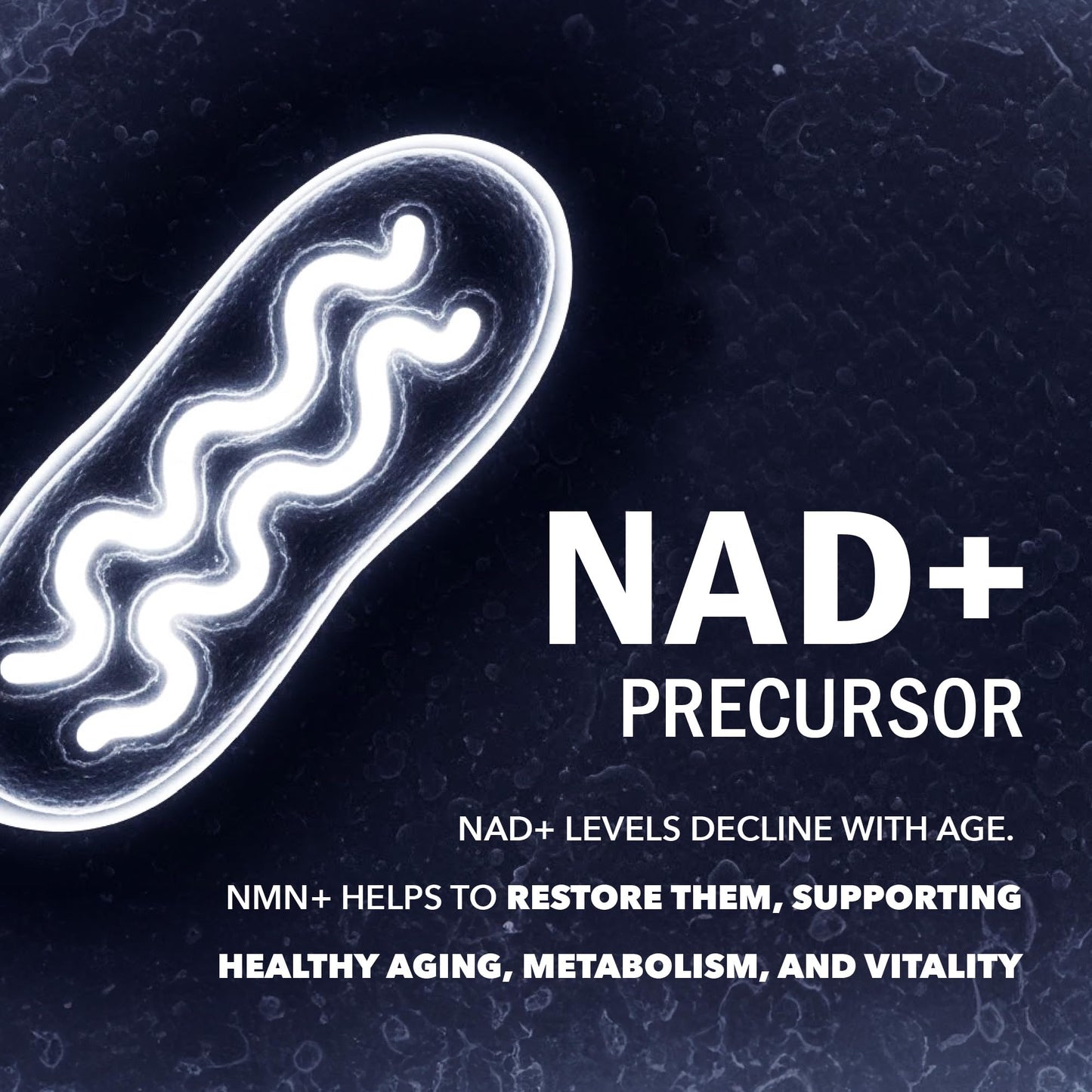NMN Supplement 1200mg | Extra Strength | NAD+ Precursor for Healthy Aging, Cellular Energy & Longevity Support | 99% Purity | NMN Supplement Canada Made, Third-Party Tested & Vegan | 60 Capsules 🍁 All In One Marketplace Canada