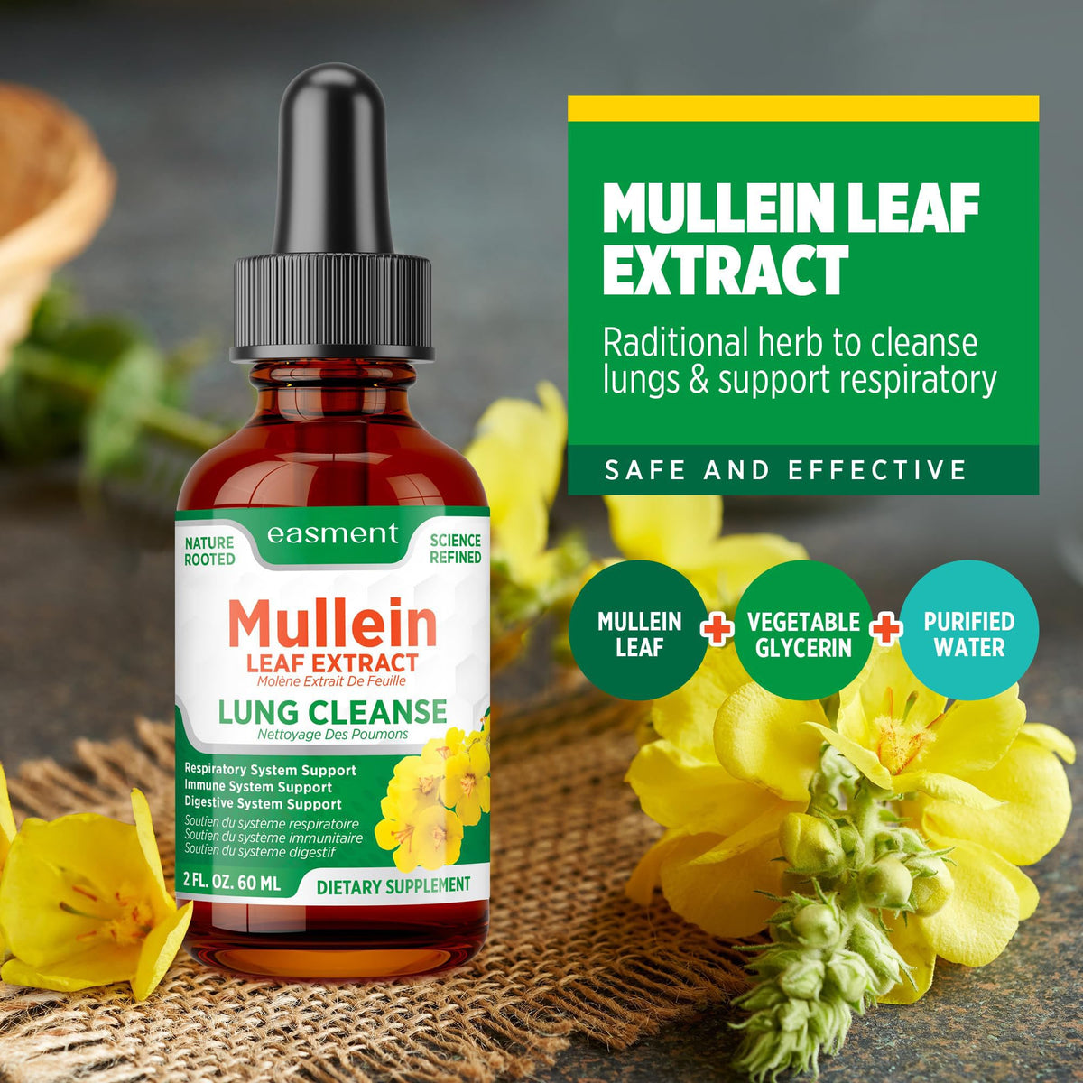 Easment Mullein Leaf Extract Drops for Lungs – Herbal Supplement for Lung Cleanse, Mucus & Phlegm Relief – Alcohol-Free Liquid 🍁 All In One Marketplace Canada