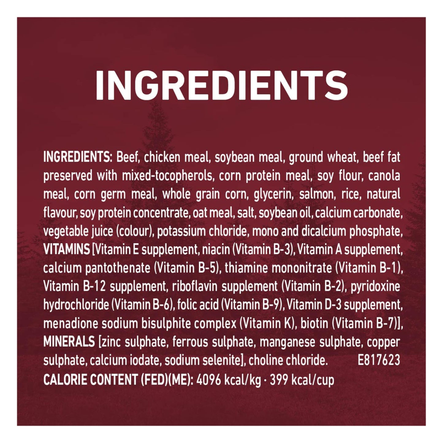Purina ONE True Instinct High Protein Dry Dog Food, Beef & Salmon - 12.4 kg Bag (1 Pack) 🍁 All In One Marketplace Canada