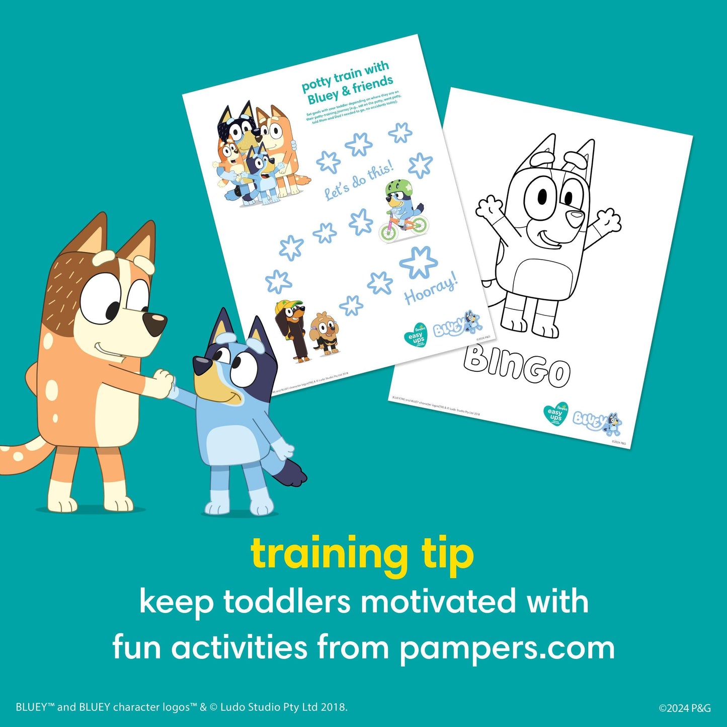 Pampers Easy Ups Girls & Boys Potty Training Pants, Size 7 (5T6T), Bluey Absorbent Training Underwear, Up to 100% Leakproof Day and Night, Hypoallergenic, 1 Pack (Count of 70) 🍁 All In One Marketplace Canada