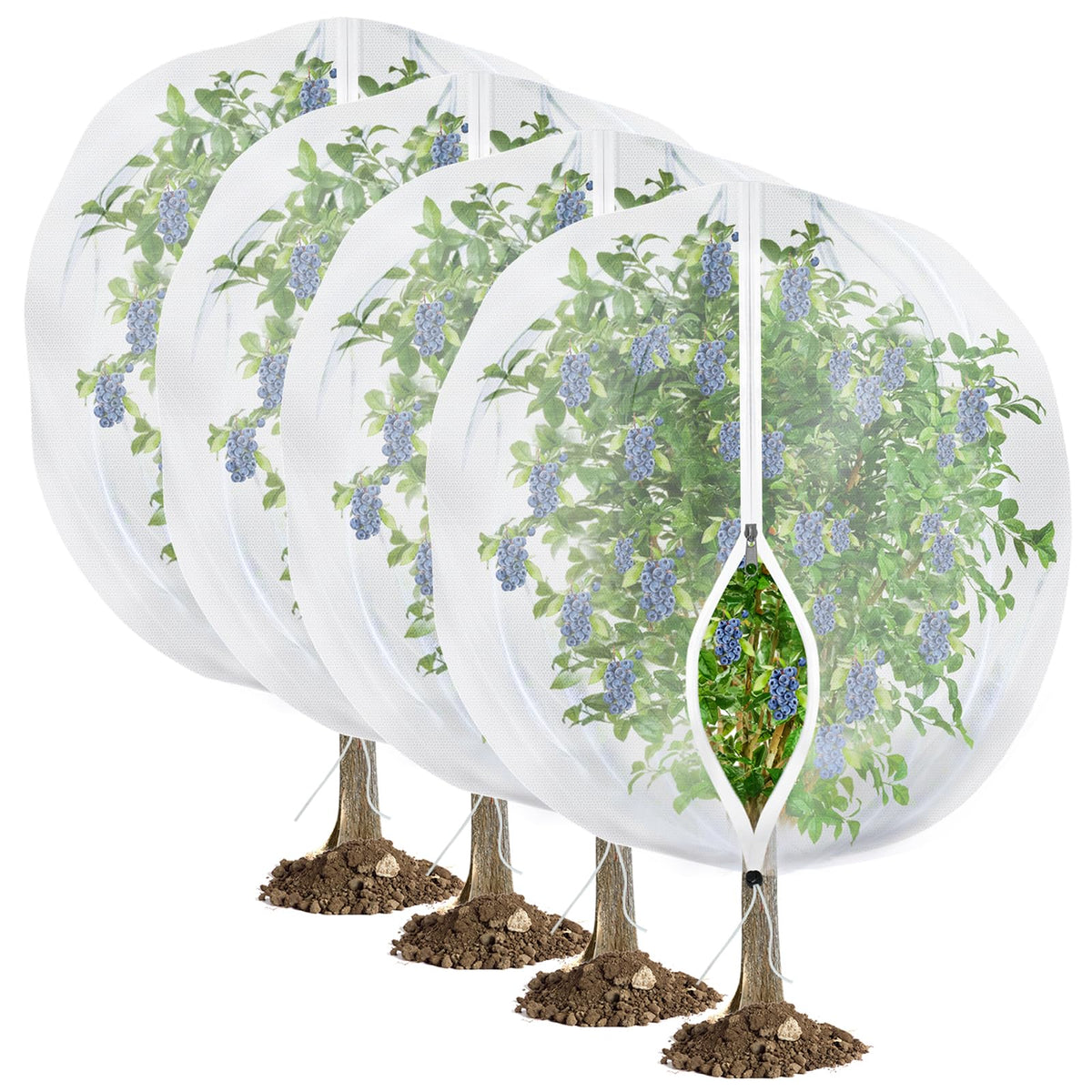 4Pack Garden Fruit Tree Netting for Cicadas with Zipper 150 x 120cm Garden Bird Mesh Netting for Blueberry Bushes with Drawstring,Insect Plant Protection Mesh Net Bags for Tomato,Cicada,Animals 🍁 All In One Marketplace Canada