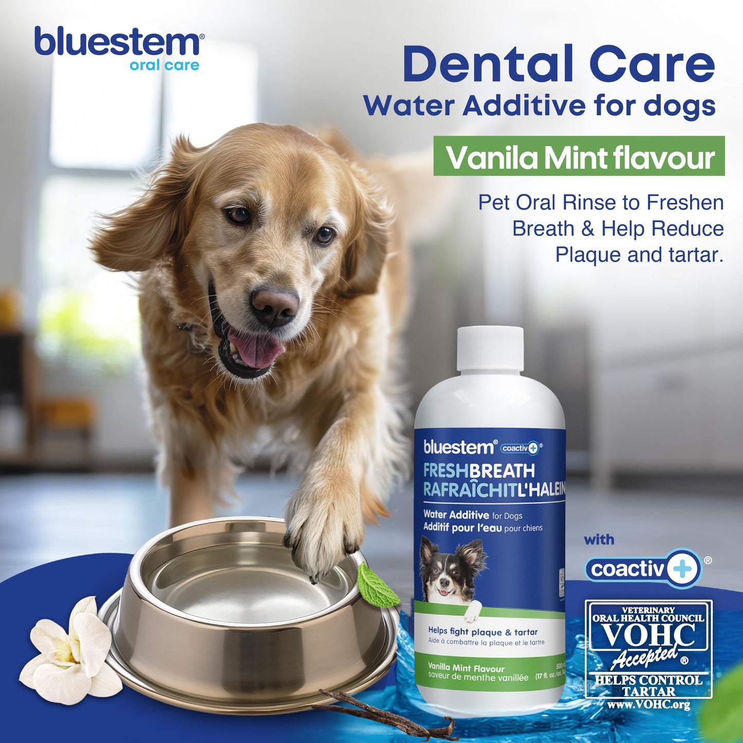 bluestem Dental Care Water Additive for Dogs – No Brushing Daily Teeth Cleaner – Pet Oral Rinse to Freshen Breath & Help Reduce Plaque – Flavorful & Easy Oral Hygiene (500 ml, Vanilla Mint) 🍁 All In One Marketplace Canada
