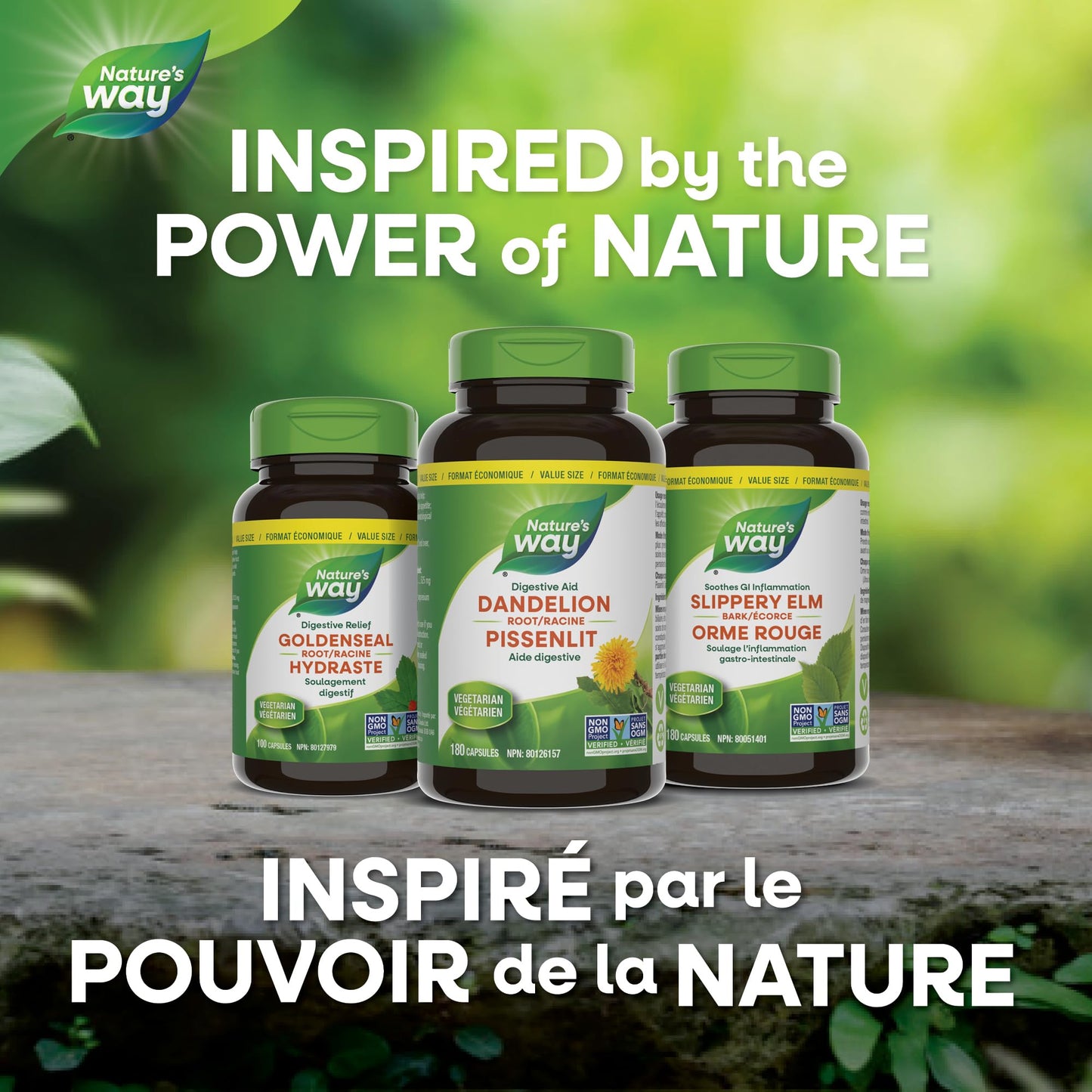 Nature's Way Dandelion Root - Digestion Supplement – Diuretic Laxative - Non-GMO Verified - 180 Vegetarian Capsules, Value Size 🍁 All In One Marketplace Canada