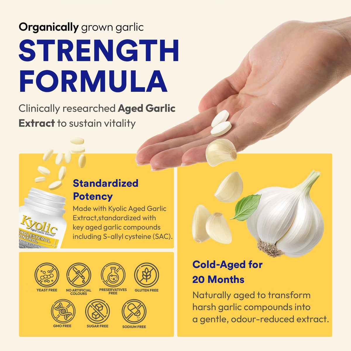 Kyolic Formula 104 Aged Garlic Extract, Odourless Garlic, 360 Capsules 🍁 All In One Marketplace Canada