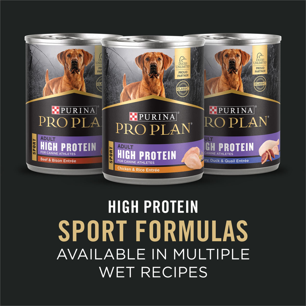 Purina Pro Plan Dry Dog Food, Sport, Performance 30/20 Salmon and Rice Formula, 33-Pound Bag, Pack of 1 🍁 All In One Marketplace Canada