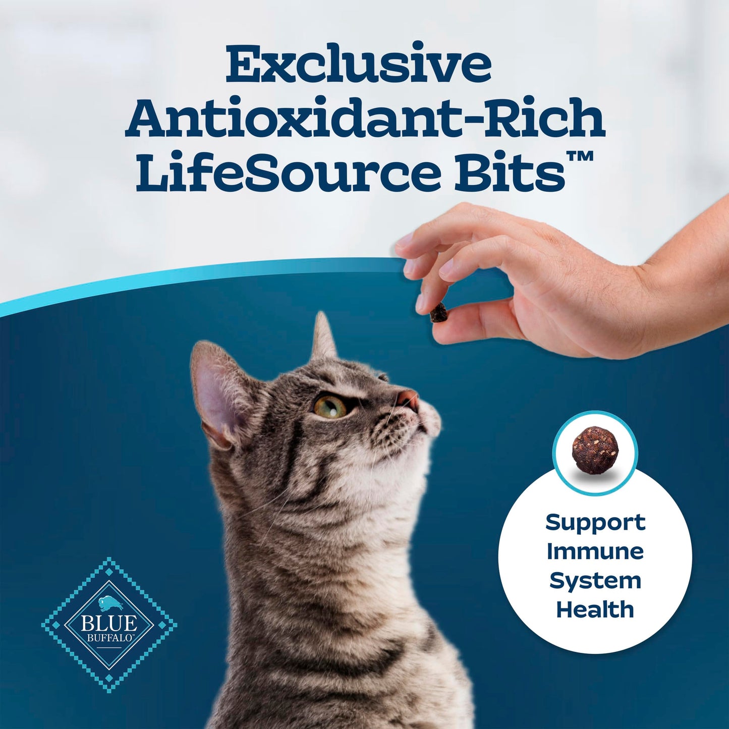 Blue Buffalo Tastefuls Chicken & Brown Rice Recipe Adult Dry Cat Food Hairball Control, Real Chicken First, Deliciously Healthy Natural Cat Food, Supports Digestive Care and Coat Health, 3.1kg Bag 🍁 All In One Marketplace Canada