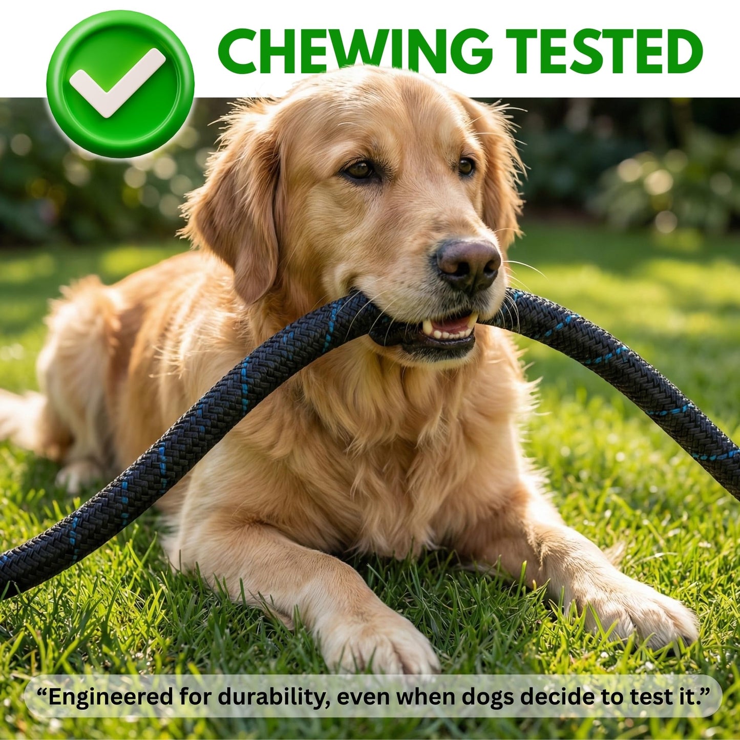 100ft Garden Hose with 10 Function Spray Nozzle, Expandable Garden Hose, 3/4" Easy Removal Solid Brass Connector, Flexible Water Hose, Extra Durable Material, Black&Blue by Luft 🍁 All In One Marketplace Canada