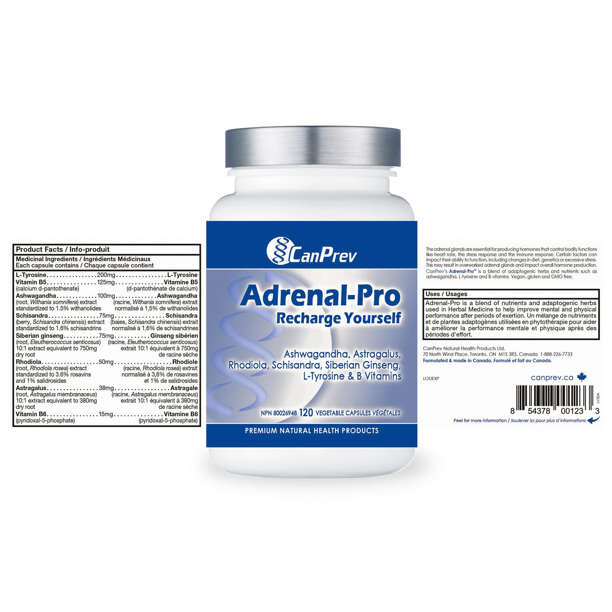 CanPrev Adrenal-Pro Recharge Yourself, 120 Vegan V-Caps with Siberian Ginseng, 30-Day Supply with Ashwagandha, Astragalus, L-Tyrosine, B5 & B6 - Supports Energy Levels, Physical and Mental Vitality 🍁 All In One Marketplace Canada
