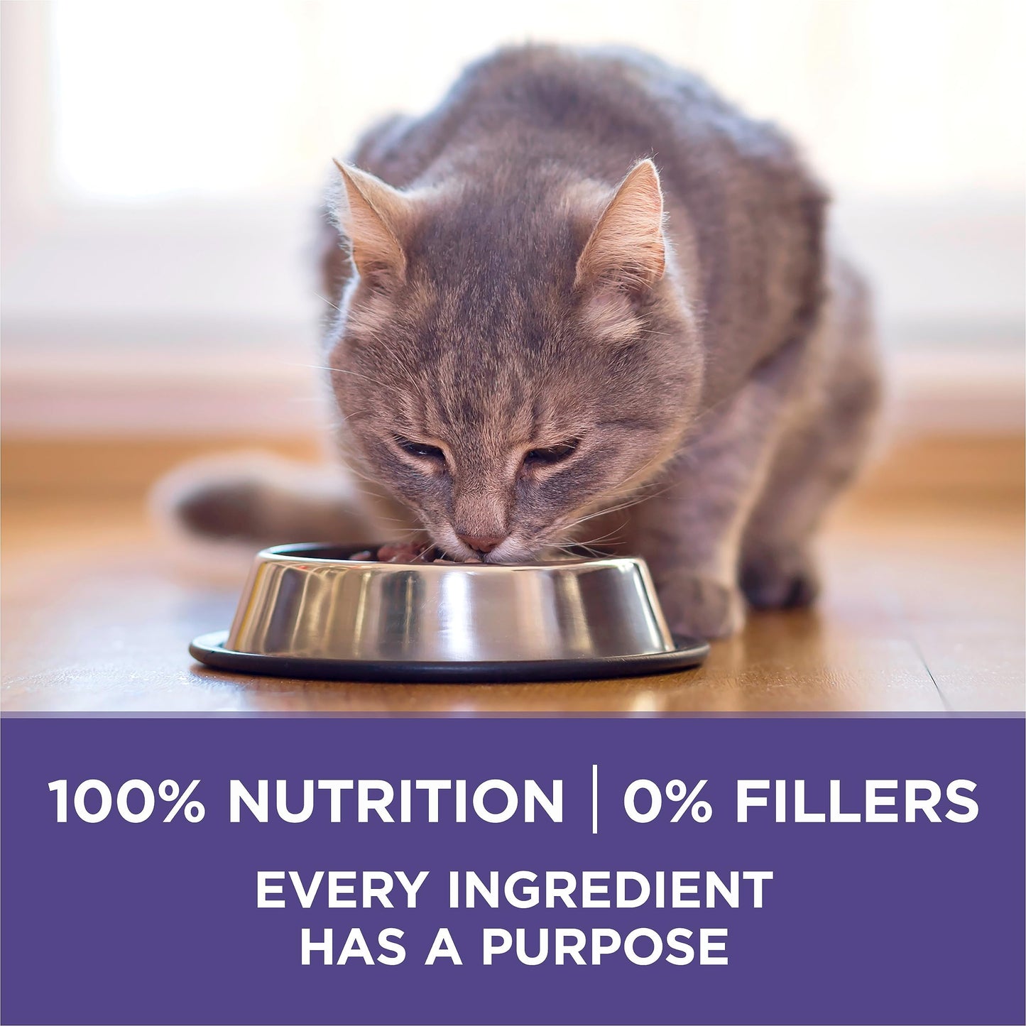 Purina ONE +Plus Dry Cat Food, Hairball Formula Chicken - 3 kg Bag 🍁 All In One Marketplace Canada