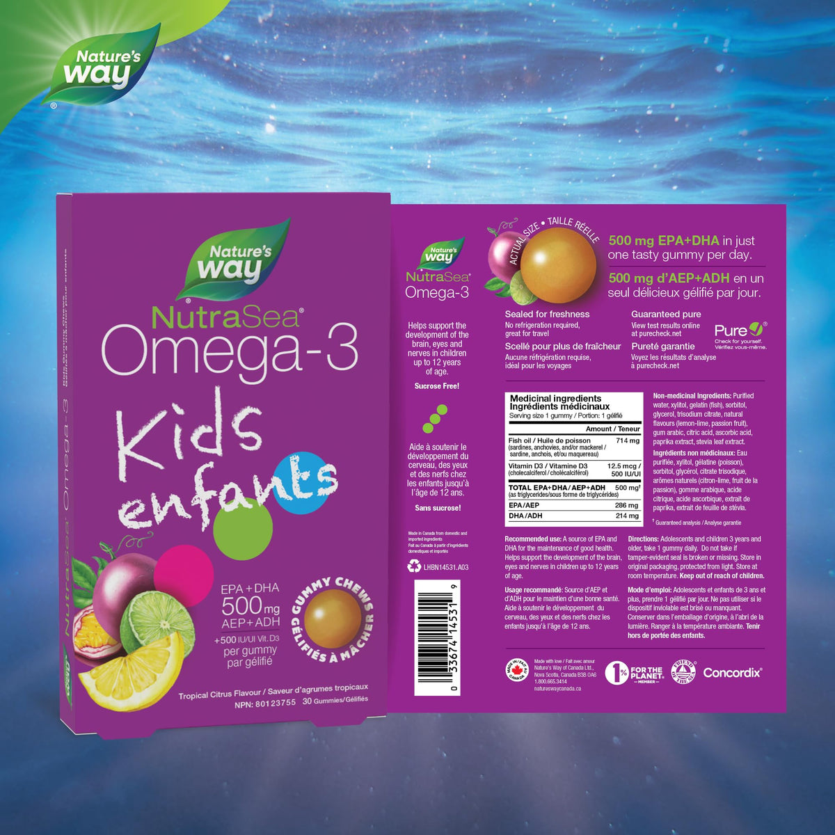 Nature's Way NutraSea Omega 3 Kids Gummy Chews Supplement with Fish Oil – Tropical Citrus Flavour – Brain, Bone & Immune Support for Kids Ages 3+ – 500mg EPA & DHA + 500IU Vitamin D3, 30 Gummies 🍁 All In One Marketplace Canada