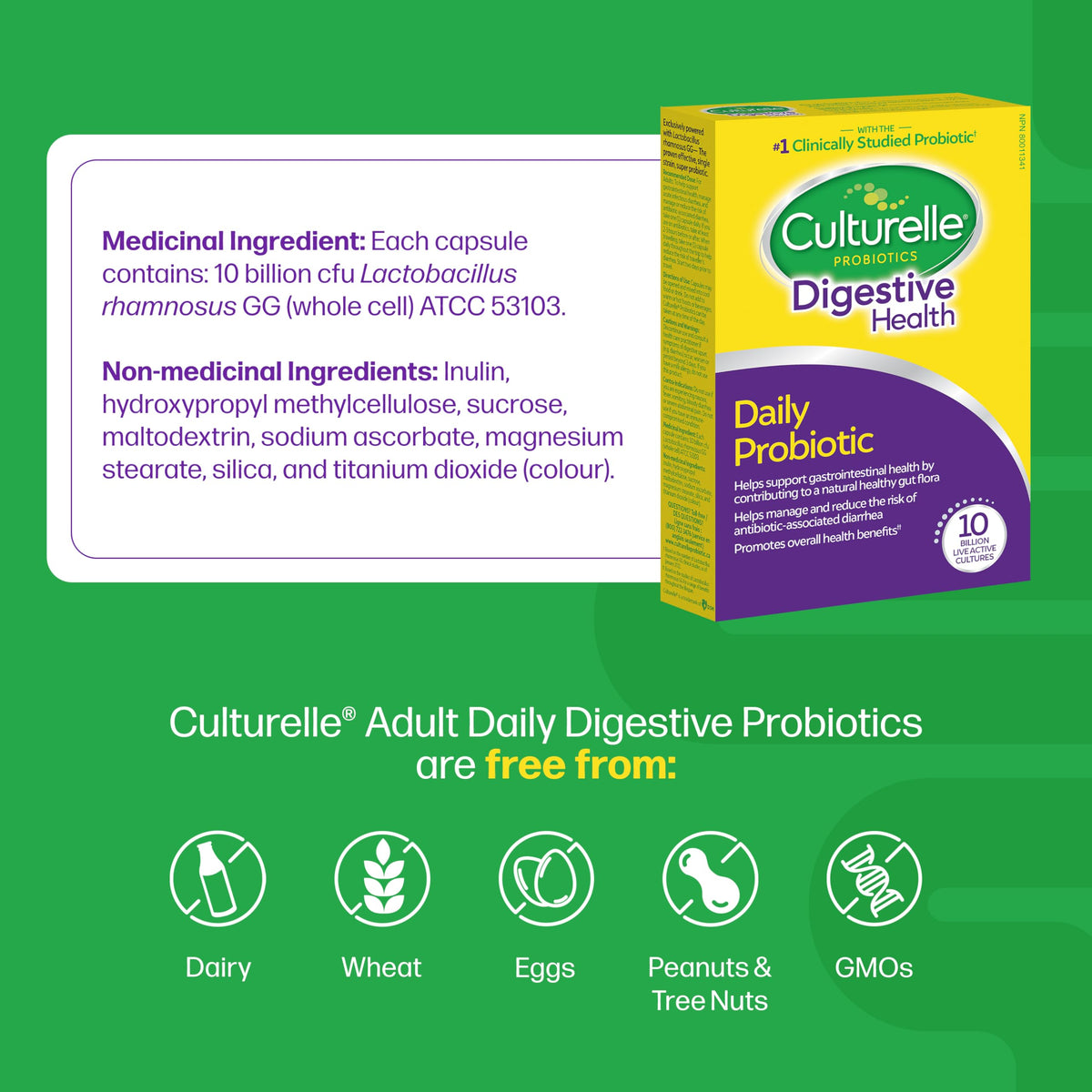 Culturelle Daily Digestive Health Daily Probiotic for Men and Women, With 100% Naturally Sourced Lactobacillus GG Strain, Pharmacist Recommended Gluten Free and Vegan, 50 Count Capsules (Pack of 1) 🍁 All In One Marketplace Canada