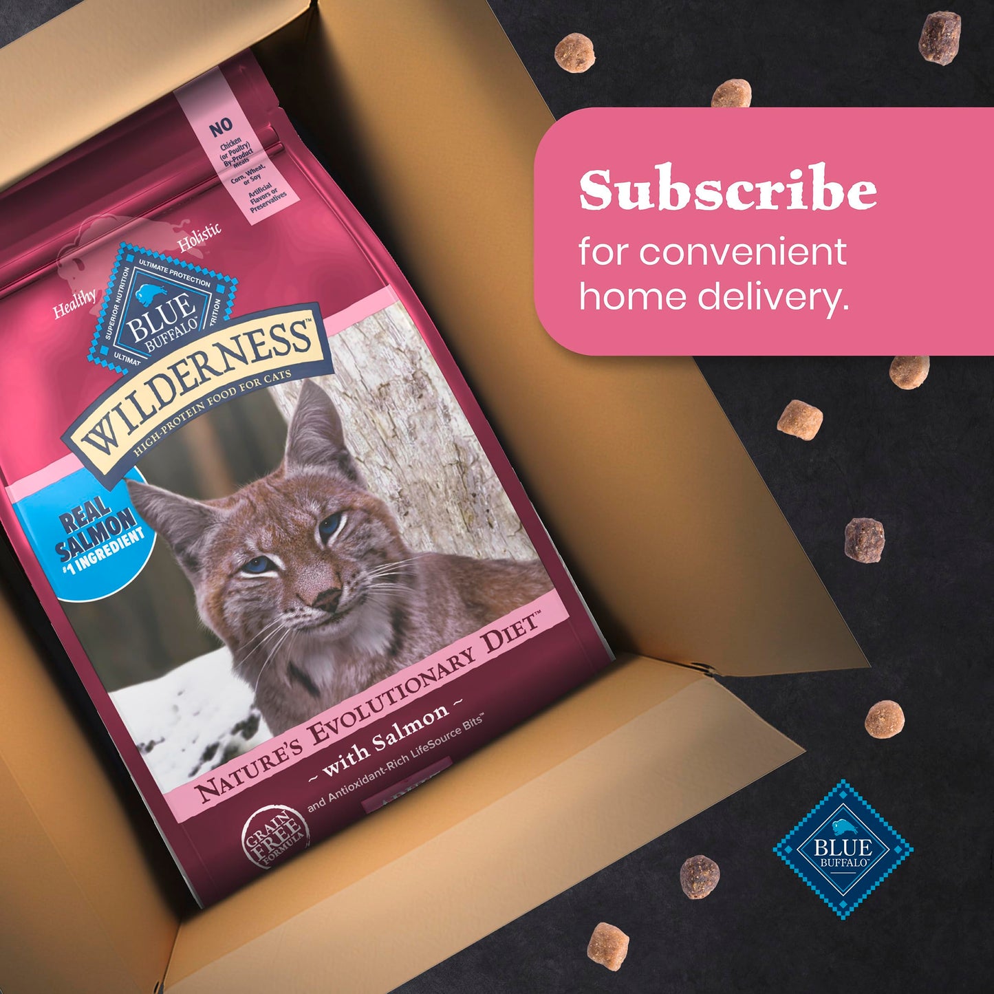 Blue Buffalo Wilderness with Salmon Natural High-Protein Grain-Free Dry Food for Adult Cats, Real Salmon First, Antioxidant-Rich LifeSource Bits Support Immunity, Promotes Strong Muscles,11 lbs. 🍁 All In One Marketplace Canada