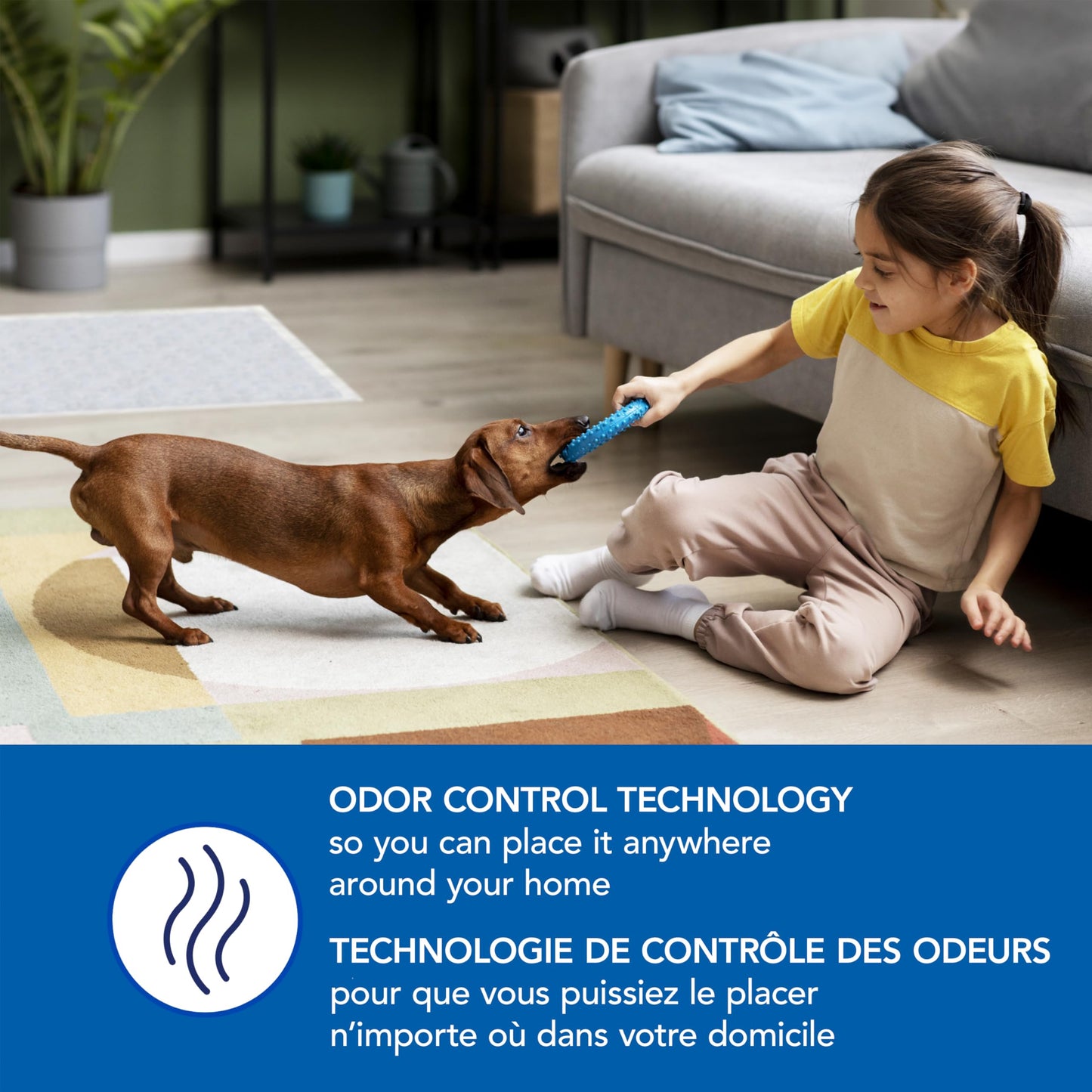 Scott Pet Guard Dog Pads, 12 Hour Odor Control, Large, 22" x 22", 50-Pack 🍁 All In One Marketplace Canada
