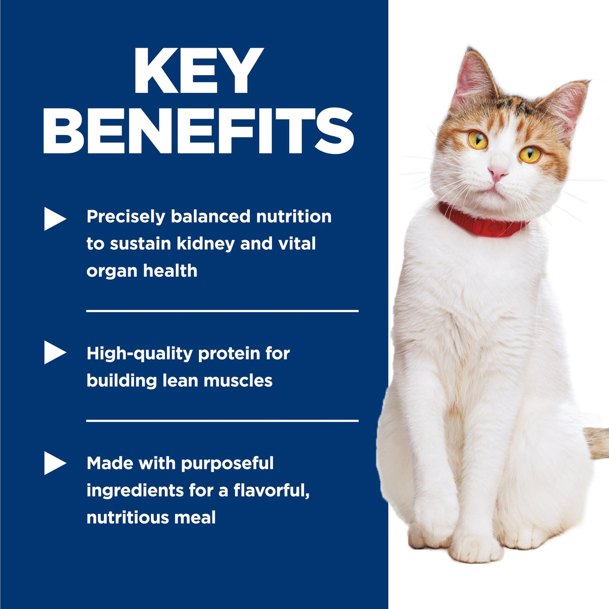 Hill's Science Diet Senior 7+ Healthy Cuisine Canned Cat Food, Roasted Chicken & Rice Medley, 2.8 oz, 24 Pack Wet cat Food 🍁 All In One Marketplace Canada