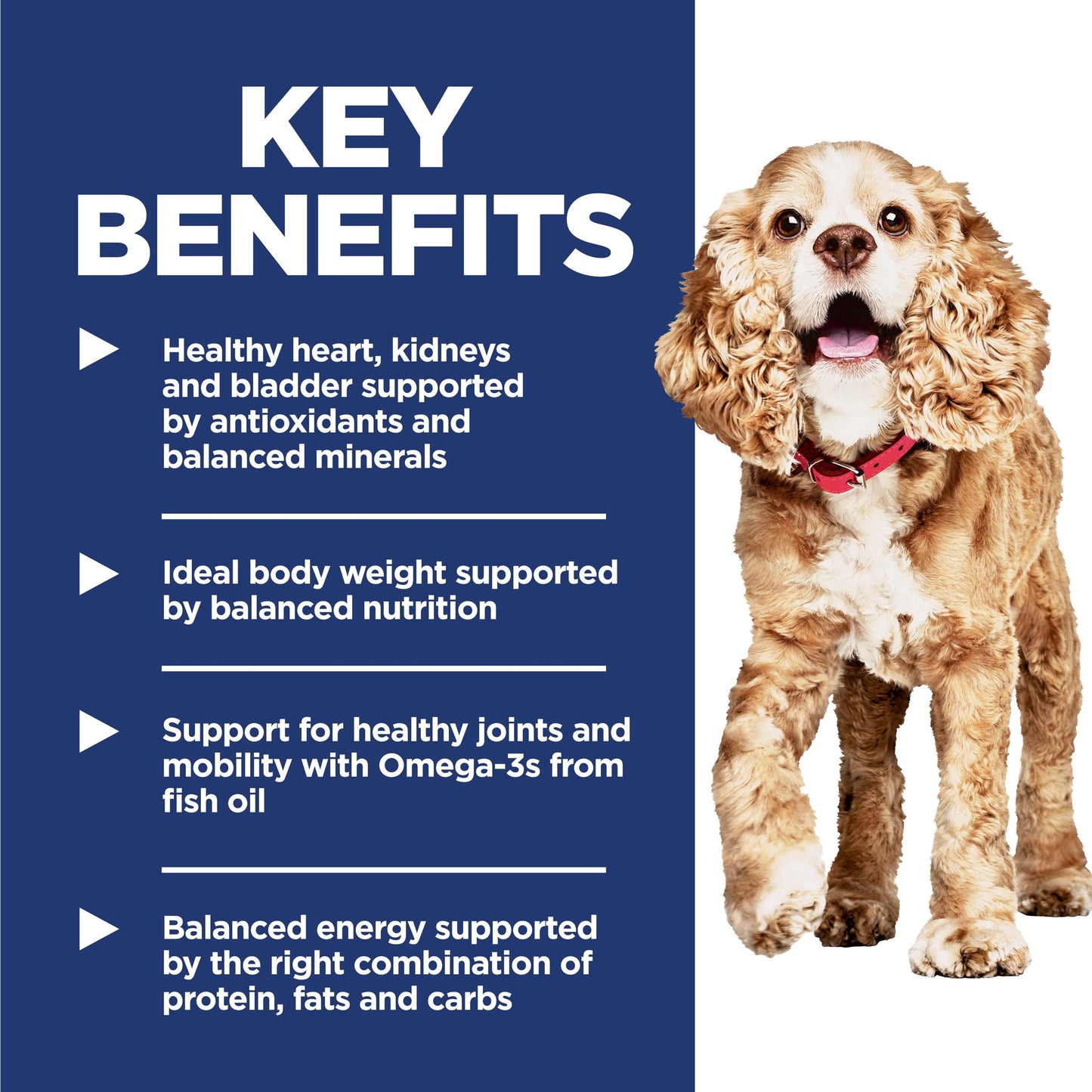 Hill's Science Diet Senior 11+ Small & Mini Chicken Meal, Barley & Brown Rice Recipe Dry Dog Food 7.03 kg Bag 🍁 All In One Marketplace Canada