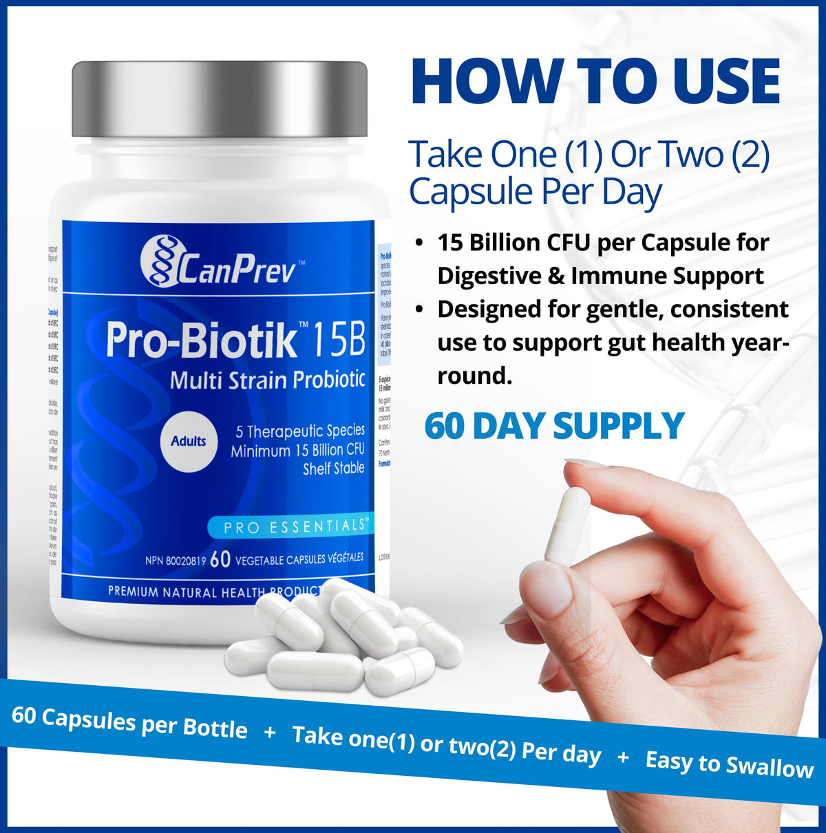CanPrev Pro-Biotik 15 Billion CFU, 60 V-Caps 60-Day Supply - Non-GMO & Gluten-Free - Advanced Gut Health Formula with 5 Probiotic Strains Supplement - Supports Digestive Balance and Eases Bloating 🍁 All In One Marketplace Canada
