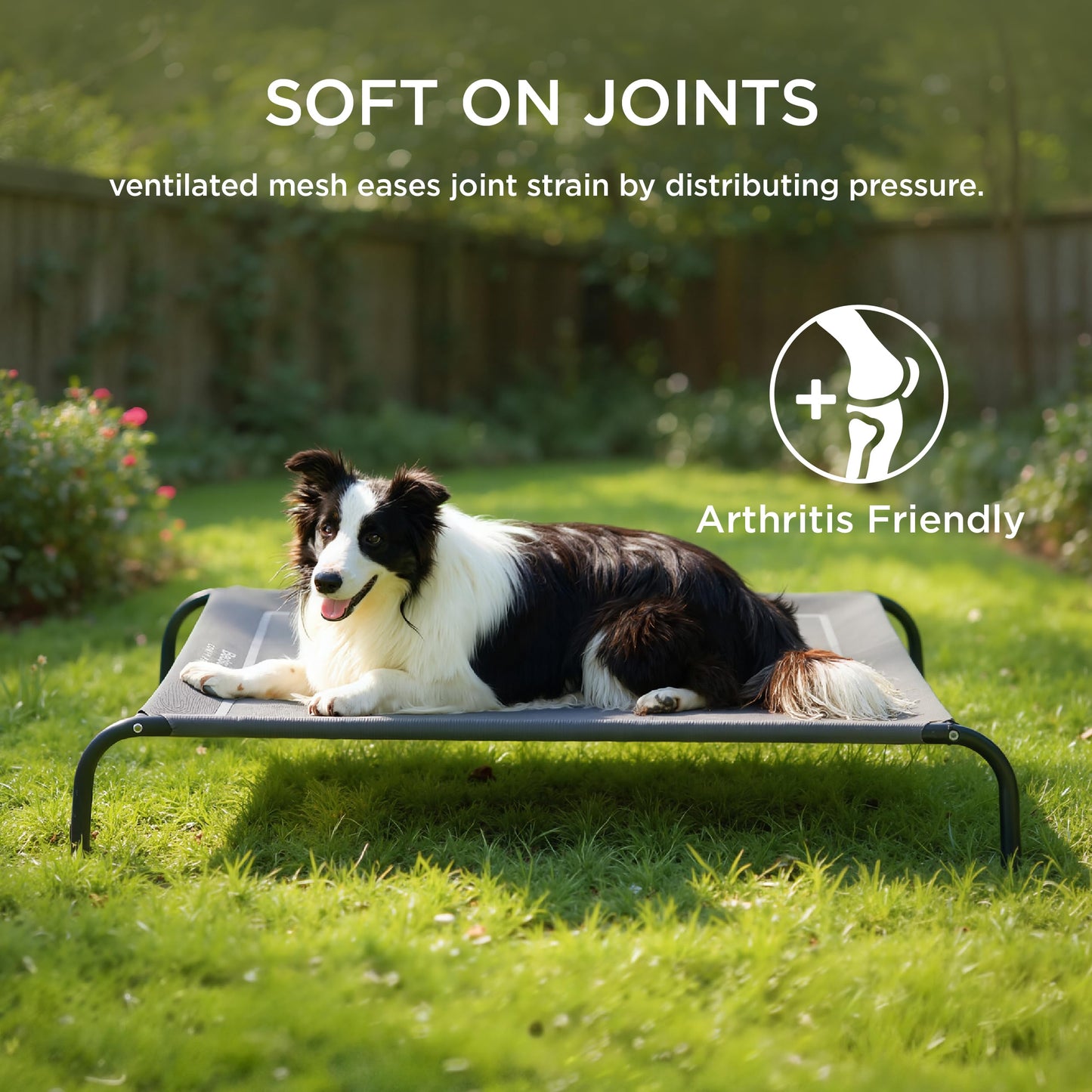 Bedsure Large Elevated Outdoor Dog Bed - Raised Dog Cot for Large Dogs, Portable Outdoor Pet Bed for Camping or Beach, Cooling Summer Frame with Breathable Mesh, Grey, 49 Inches 🍁 All In One Marketplace Canada