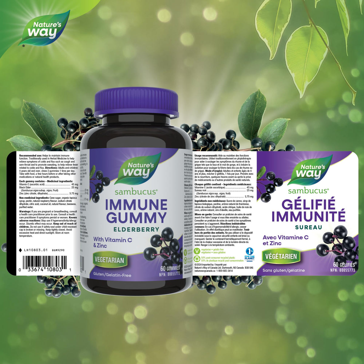 Nature's Way Sambucus Immune Support Gummies – Elderberry with Vitamin C & Zinc – Supports Immune Function and Relieves Cold & Flu Symptoms – Vegetarian, Gluten-Free for Adults & Kids 4+ – 60 Gummies 🍁 All In One Marketplace Canada