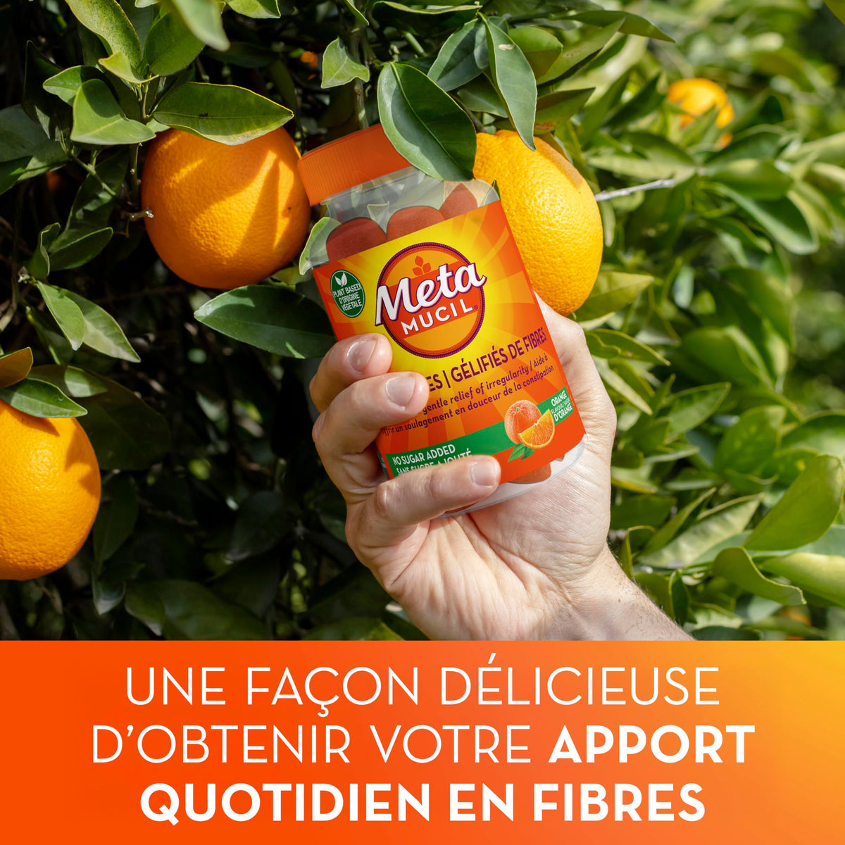 Metamucil Fibre Gummies, No Sugar Added, Orange Flavour, Prebiotic, Plant-Based, 105 Count 🍁 All In One Marketplace Canada