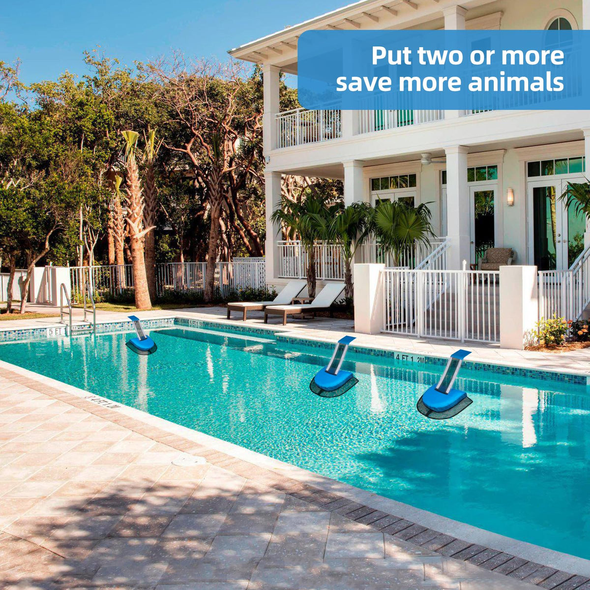 2Pcs Pro Animal Frog Wildlife Saving Saver Escape Ramp Bridge for Swimming Pool Floating Small Animal Critter Ducks Escape Ramp Frog Pads for Pool Log Device Reduces Maintenance Accessories (Blue, L) 🍁 All In One Marketplace Canada