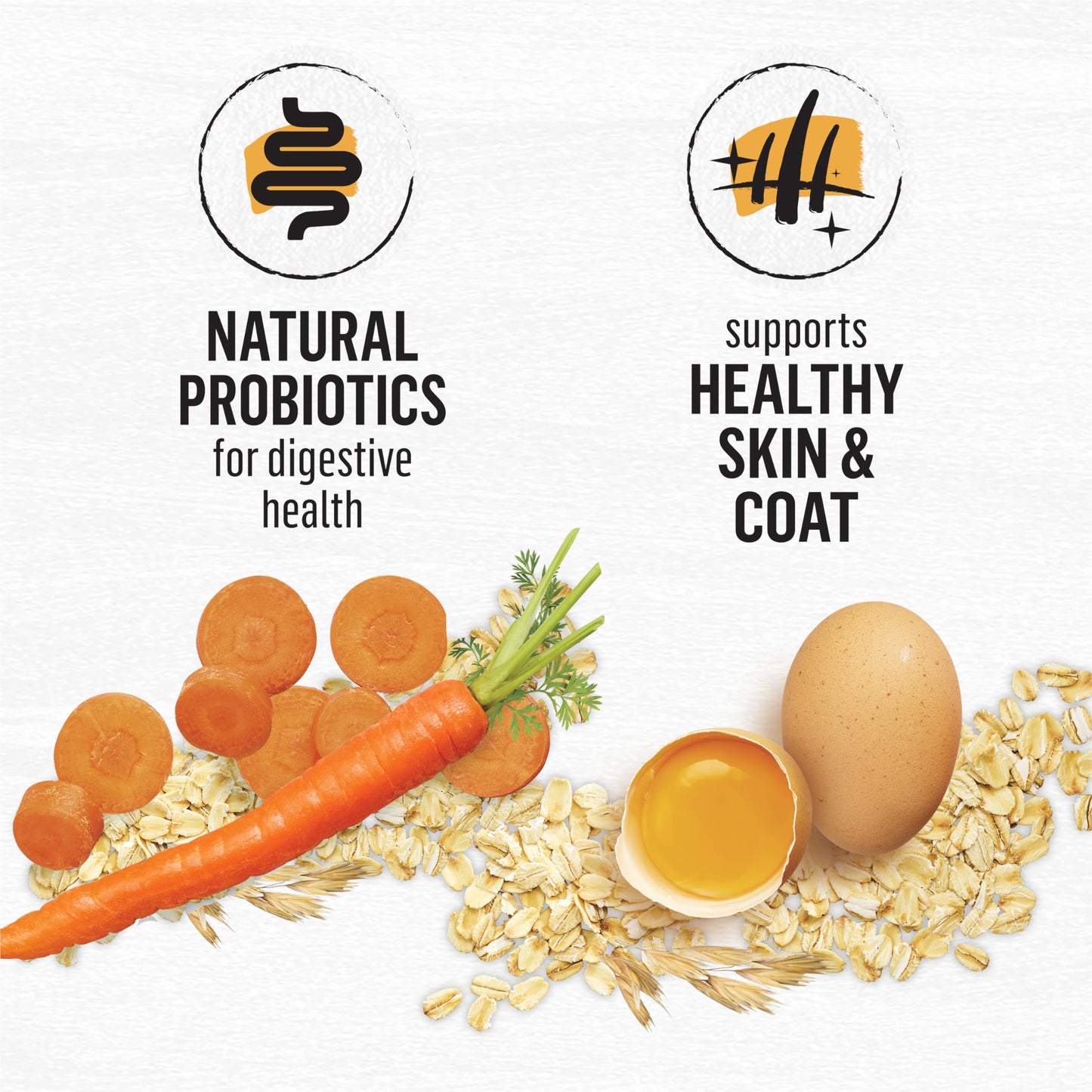 Beyond Dry Cat Food, Chicken & Whole Oatmeal 2.72kg 🍁 All In One Marketplace Canada