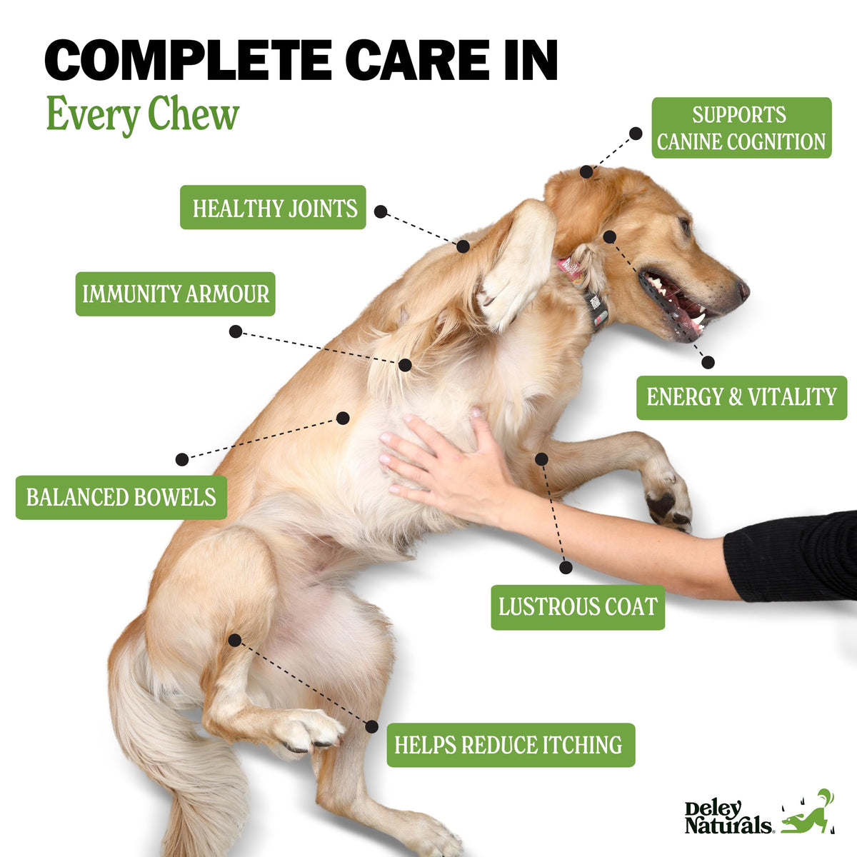 Deley Naturals Dog Multivitamins Chewable - 15 in 1 Dog Vitamins and Supplements for Immune System, Skin, Joint Support & Digestion - Multivitamin with MSM, Glucosamine & Chondroitin for All Ages 🍁 All In One Marketplace Canada