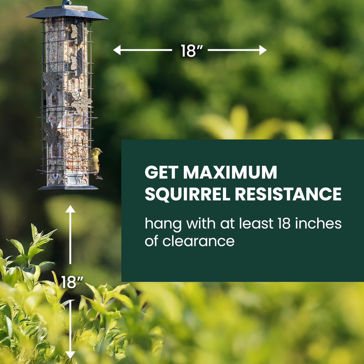 Perky-Pet 336-1SR Squirrel-Be-Gone Bird Feeder, 2LB Squirrel Proof Outdoor Wild Bird Feeder with Weight-Activated Perches 🍁 All In One Marketplace Canada