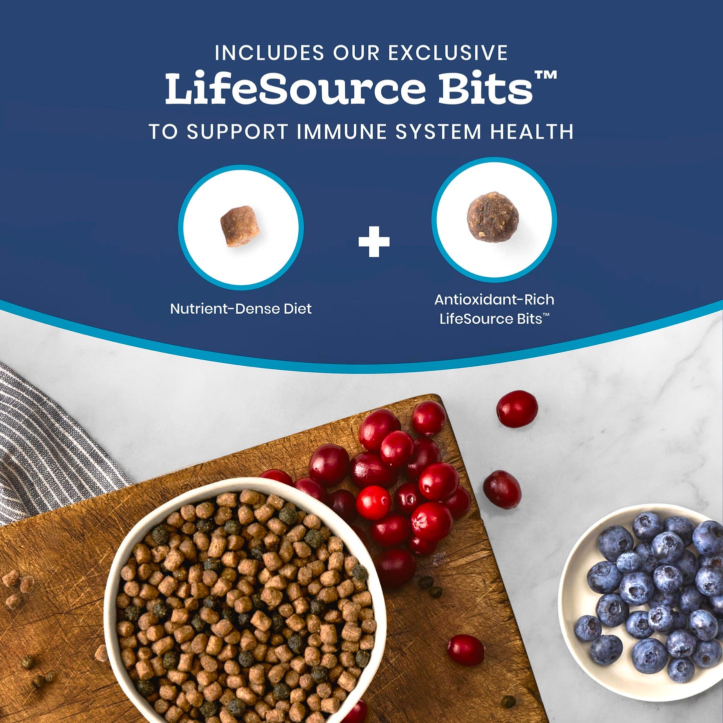Blue Buffalo Tastefuls Chicken & Brown Rice Recipe Dry Cat Food for Kittens 2–12 Months, Real Chicken First, Deliciously Healthy Natural Kitten Food with DHA, Taurine, and Natural Ingredients, 3.1kg 🍁 All In One Marketplace Canada