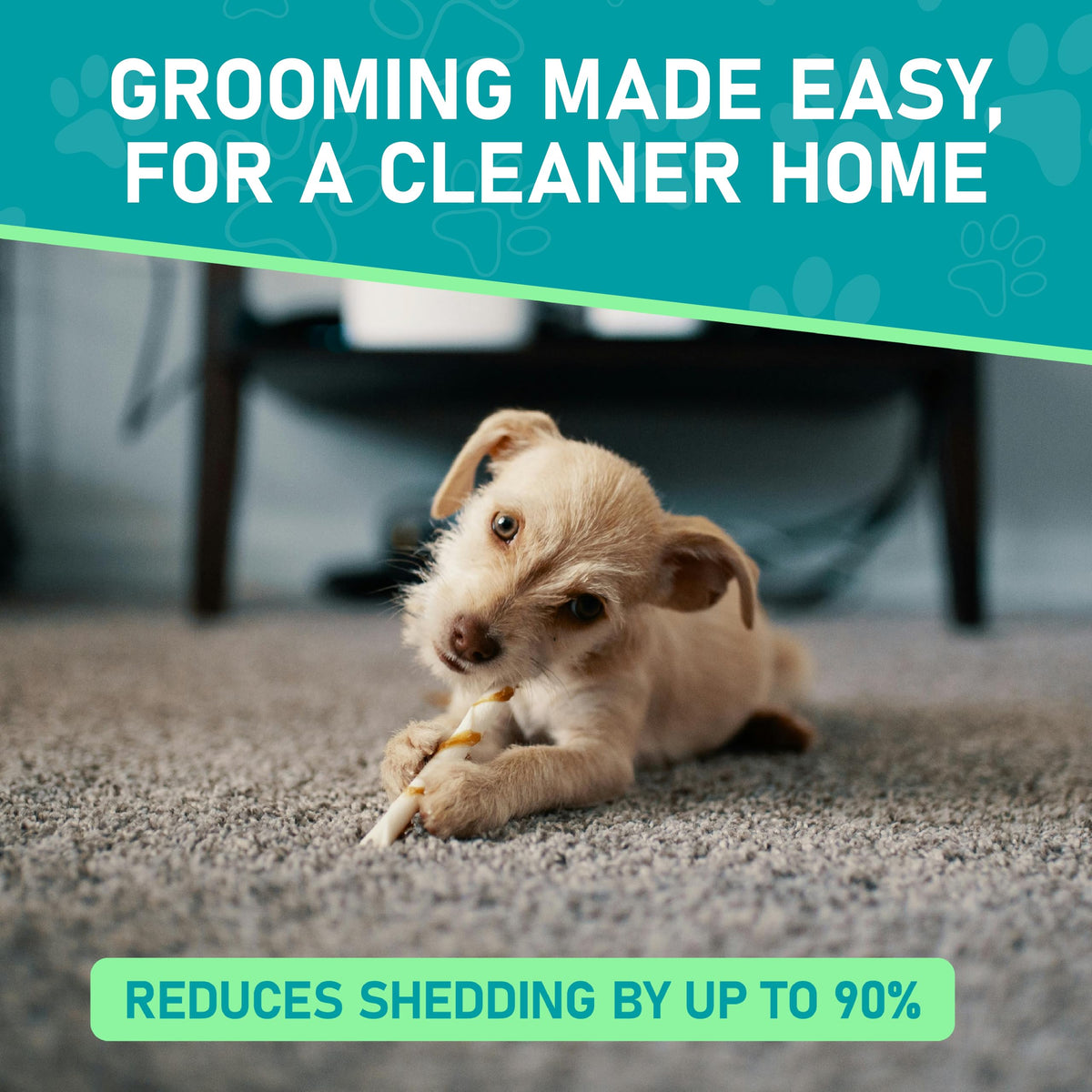 Maxpower Planet Pet Grooming Brush - Double Sided Shedding, Dematting - Undercoat Rake Dogs - Dog Grooming Brush - Deshedding Brush for Dogs - Dog Brush, Cat Brush, Reduce Shedding by 95%, Turquoise 🍁 All In One Marketplace Canada