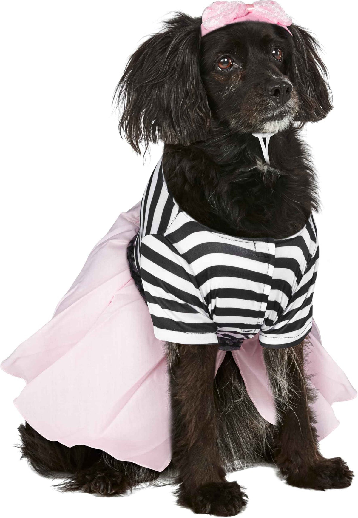 Rubies Costume Co Halloween Classics Collection Pet Costume, Large, 50s Girl Dress