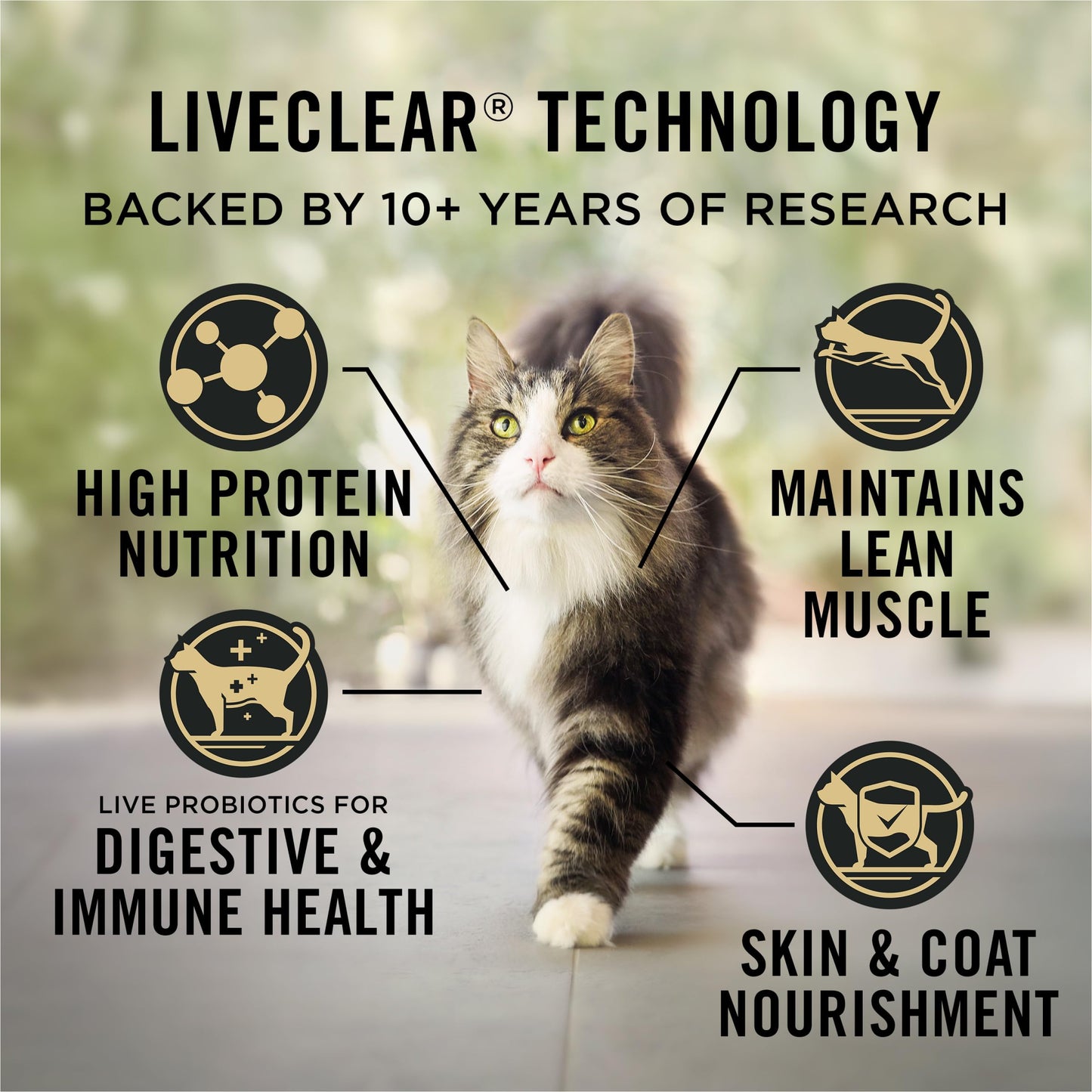 Purina Pro Plan Dry Cat Food, Specialized LiveClear Indoor Turkey & Rice - 2.49 kg Bag (1 Pack) 🍁 All In One Marketplace Canada
