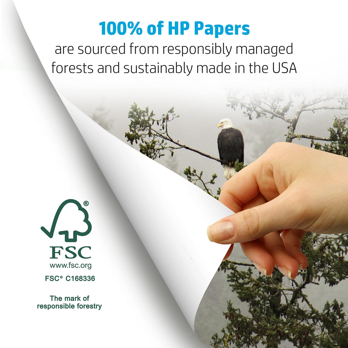 HP Printer Paper 8.5x11 Copy&Print 20 lb 5 Ream Case 2500 Sheets 92 Bright Made in USA FSC Certified Copy Paper HP Compatible 200350C 🍁 All In One Marketplace Canada