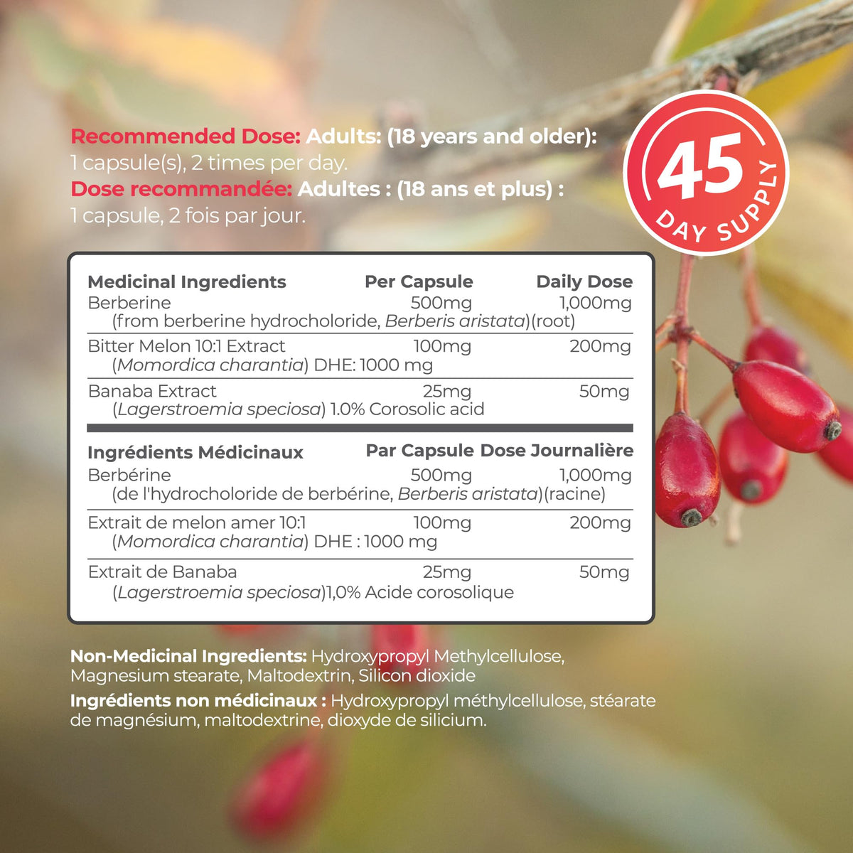 Berberine 1000mg | Healthy Cholesterol, Glucose & Lipid Metabolism & Cardiovascular Health Support | High Potency Berberine Supplement with Bitter Melon & Banaba Extract | Made in Canada | 90 Ct 🍁 All In One Marketplace Canada