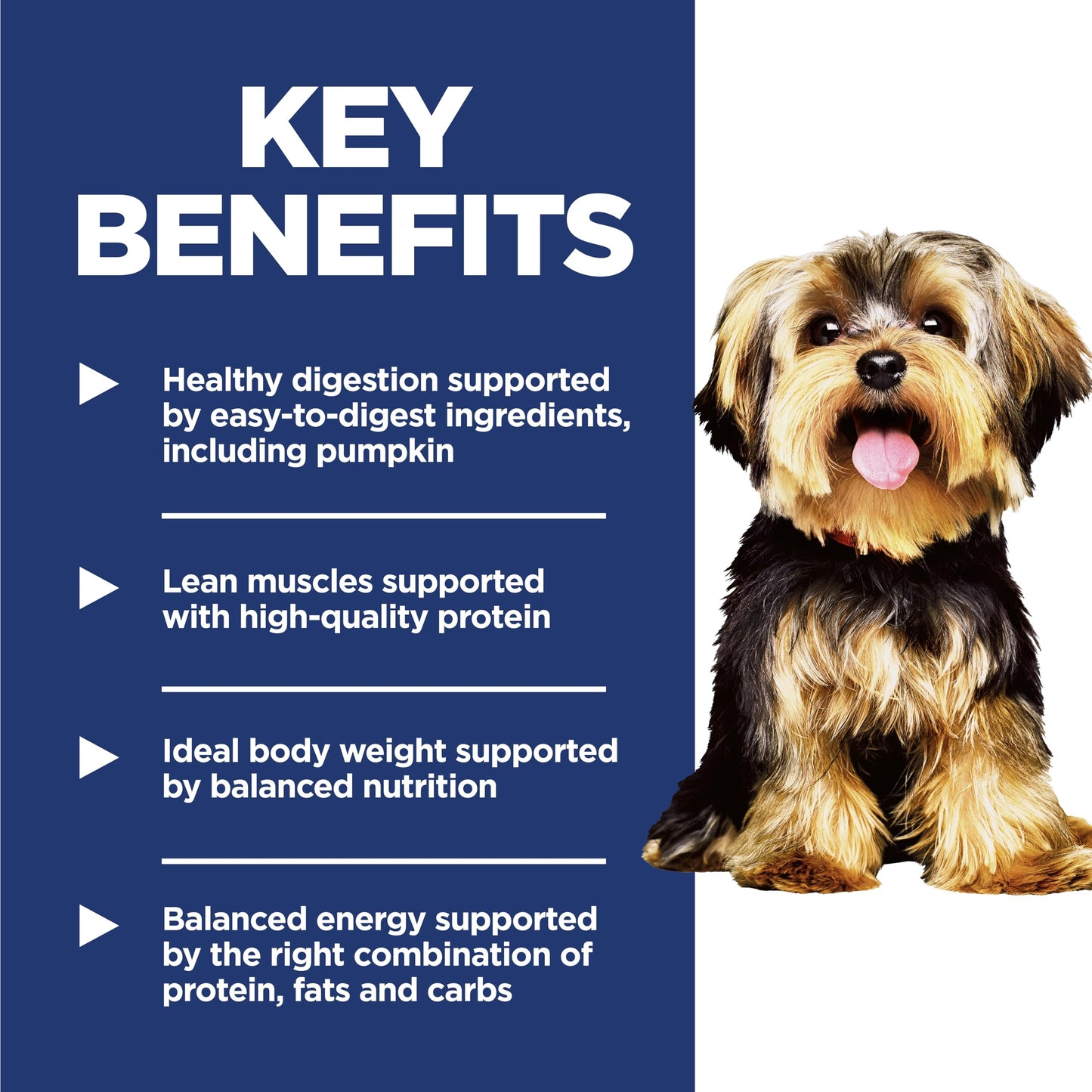 Hill's Science Diet Adult Small & Mini Chicken Meal & Rice Recipe Dry Dog Food 2.04 kg Bag 🍁 All In One Marketplace Canada