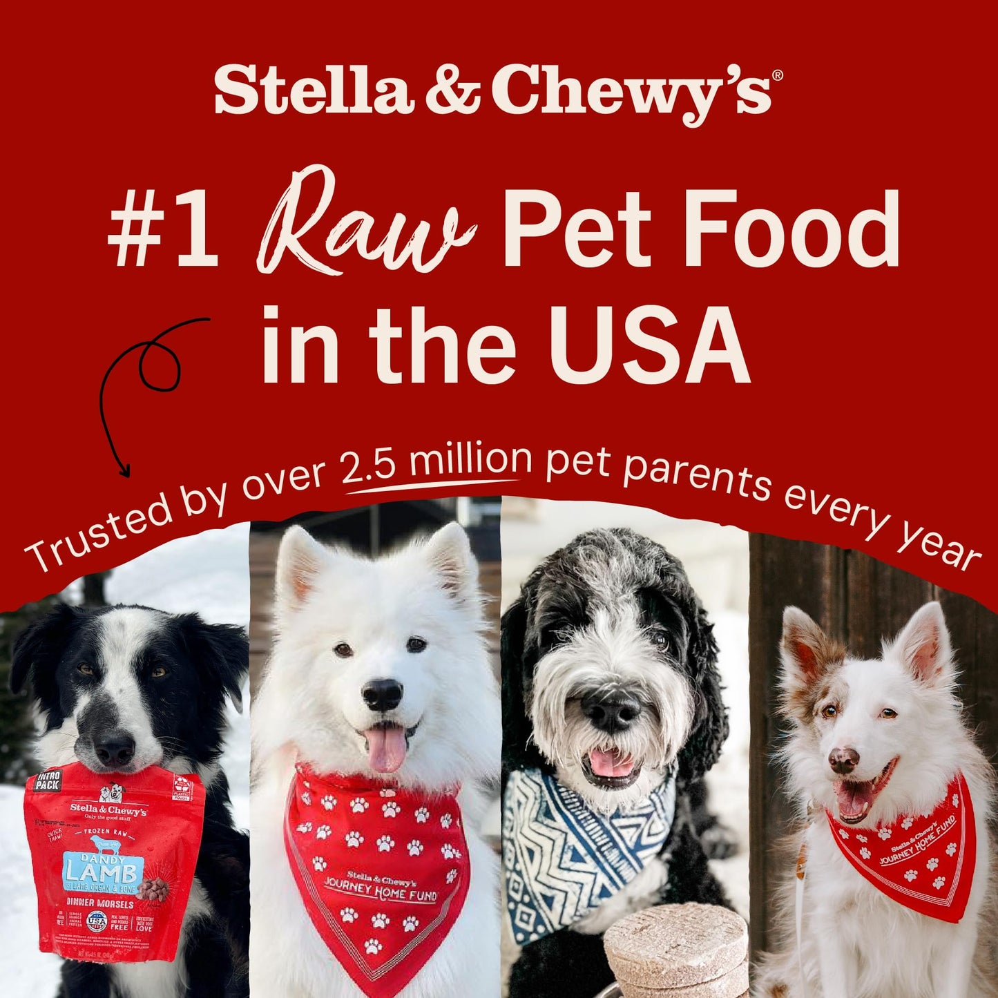 Stella & Chewy’s Freeze Dried Raw Dinner Patties – Grain Free Dog Food, Protein Rich Remarkable Red Meat Recipe – 396g Bag 🍁 All In One Marketplace Canada