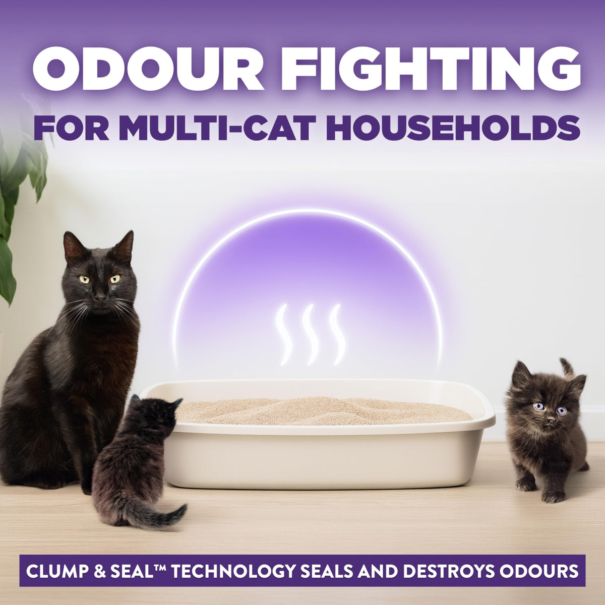 Arm & Hammer Slide Clumping Cat Litter, Multi-Cat Clay, Effortless Clean, 7-Day Odour Control, Dust-Free, Low-Tracking, Rock-Hard Clumps, Baking Soda Power, 6.4 kg 🍁 All In One Marketplace Canada