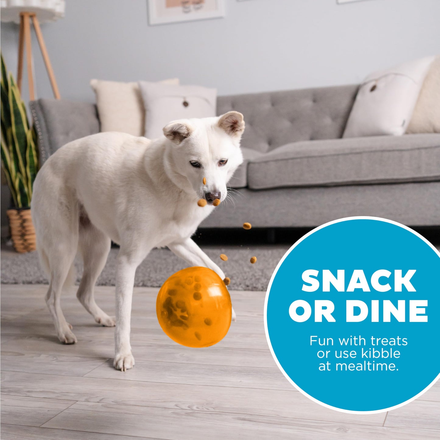 Outward Hound Snoop Dog Toy – Treat‑Dispenser Puzzle Ball, Interactive Slow Feeder, Medium to Large Dogs, Bouncy & Mint-Infused, Orange, 5" 🍁 All In One Marketplace Canada