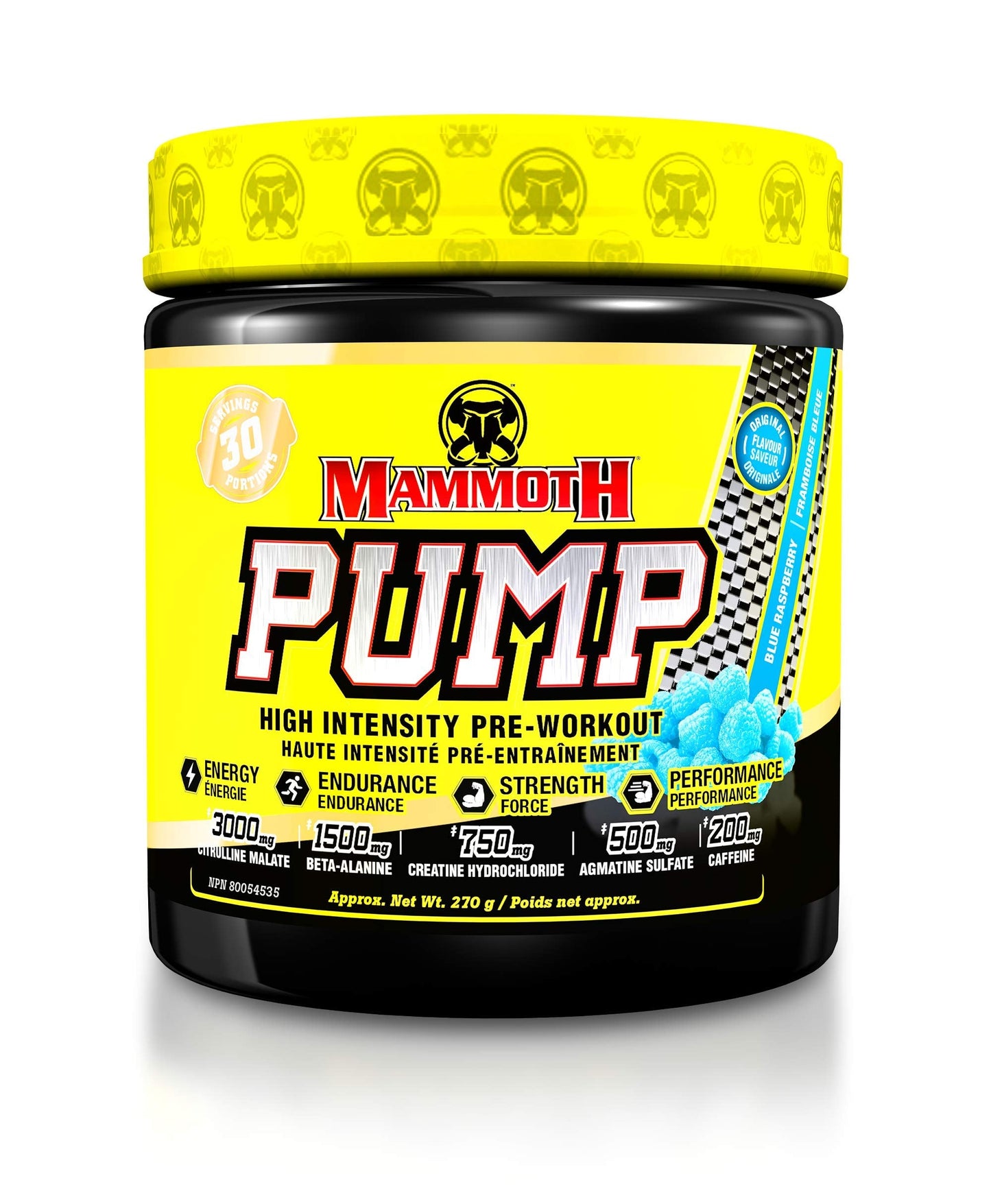 MAMMOTH PUMP – Pre Workout Powder, Superior Muscle Pumps, Increase Strength & Endurance, Explosive Power & Energy Supplement, Heightened Focus, Quick Recovery, Reduced Soreness (30 Serves, Blue Raspberry) 🍁 All In One Marketplace Canada