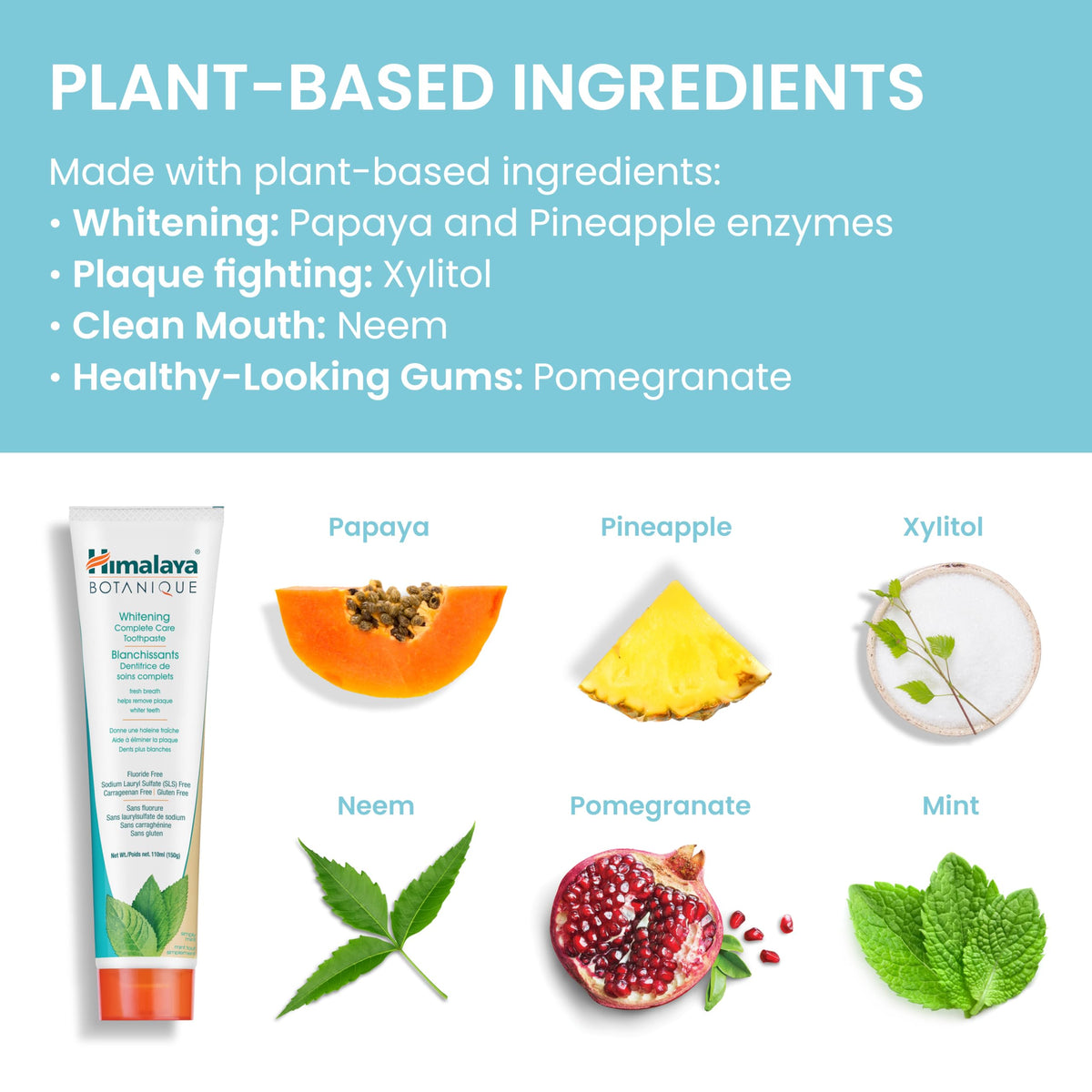 Himalaya Botanique Complete Care Whitening Toothpaste, Simply Mint, Natural, Fluoride-Free, SLS Free, Carrageenan Free & Gluten Free, Vegan, 150 g (5.29 oz), 4 Pack 🍁 All In One Marketplace Canada