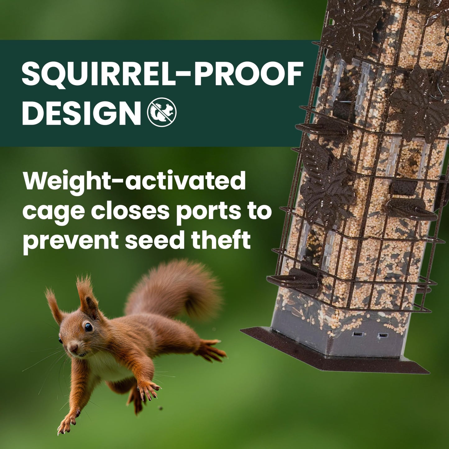 Perky-Pet 336-1SR Squirrel-Be-Gone Bird Feeder, 2LB Squirrel Proof Outdoor Wild Bird Feeder with Weight-Activated Perches 🍁 All In One Marketplace Canada