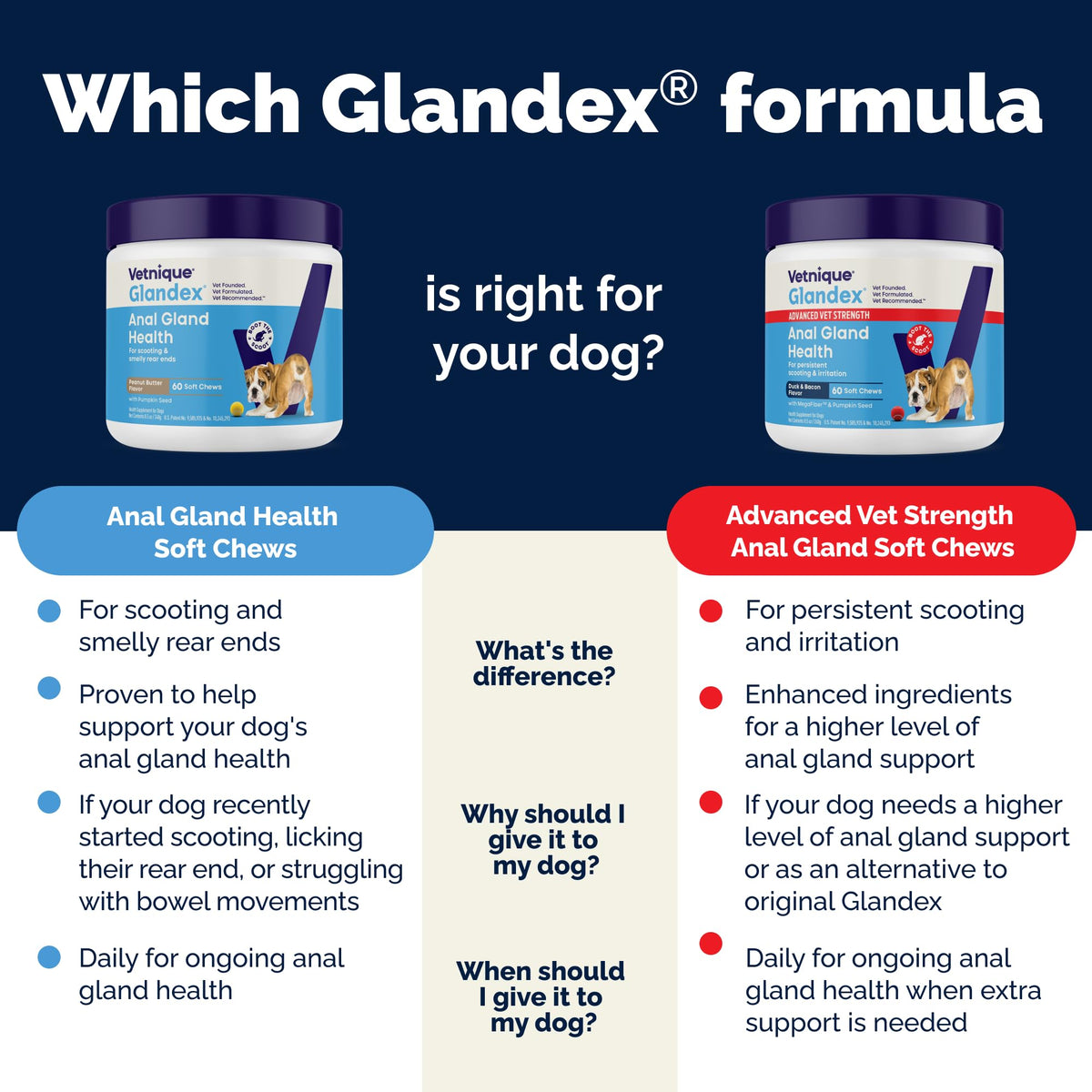 Vetnique Glandex Anal Gland Soft Chews for Dogs, Anal Gland Support, Boot The Scoot Fibre Supplement with Pumpkin, Unique Fiber Blend Probiotics & Digestive Enzymes (Peanut Butter, 60ct Chews) 🍁 All In One Marketplace Canada