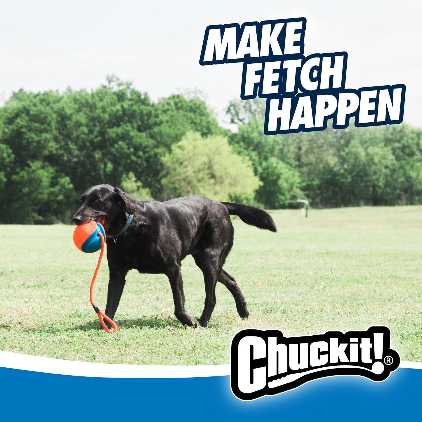 CHUCKIT! 32220 Pet Supplies Dog Toys 🍁 All In One Marketplace Canada