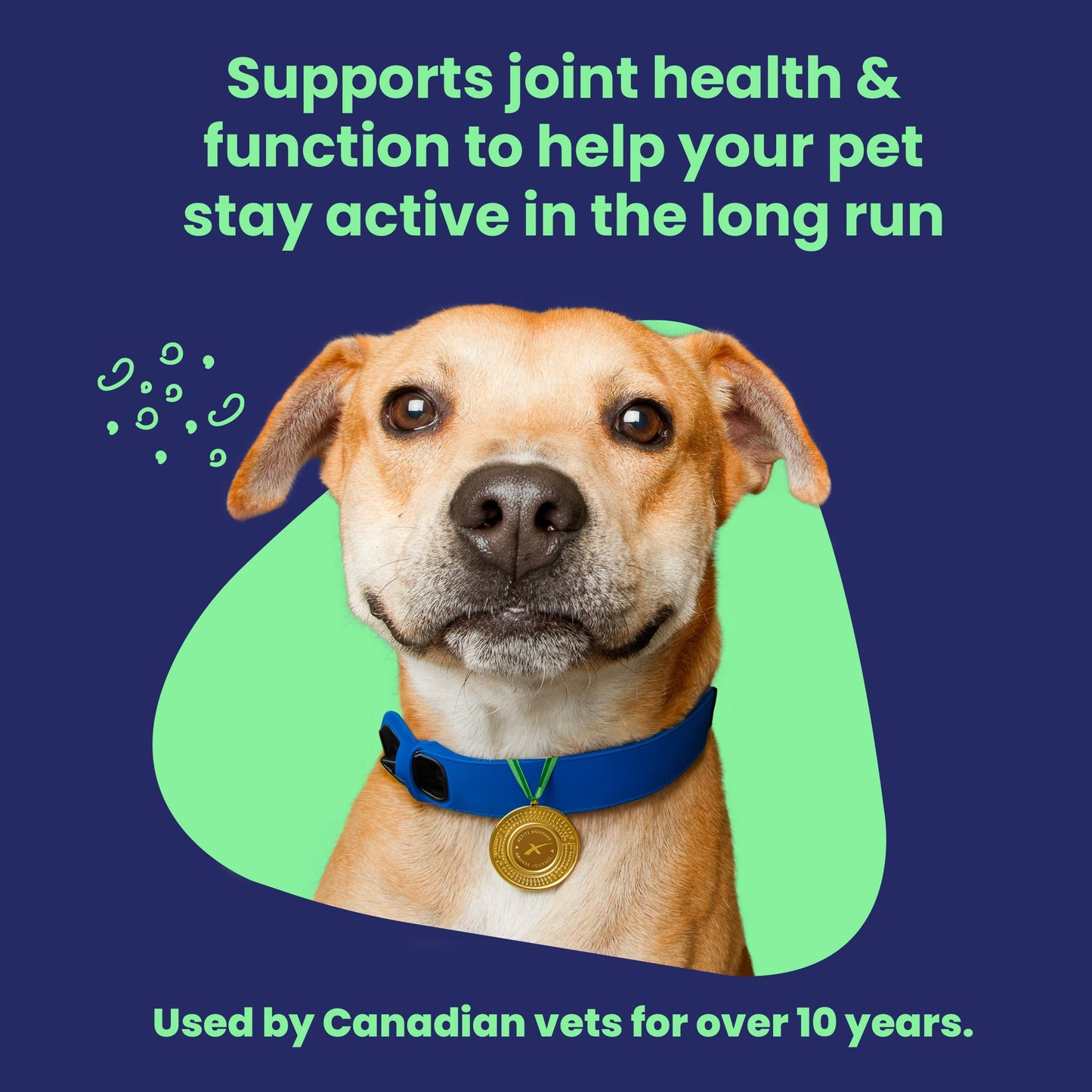Vetoquinol Flexadin Advanced (with boswellia) – Dog Joint Supplement – One Chew a Day for Dogs - 60 Chews 🍁 All In One Marketplace Canada