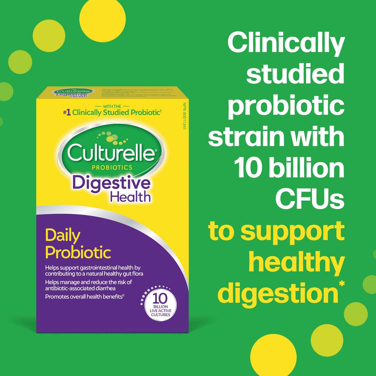 Culturelle Daily Digestive Health Daily Probiotic for Men and Women | With 100% Naturally Sourced Lactobacillus GG Strain †††††† | Pharmacist Recommended ††††† | Gluten Free and Vegan | 30 Count Capsules 🍁 All In One Marketplace Canada