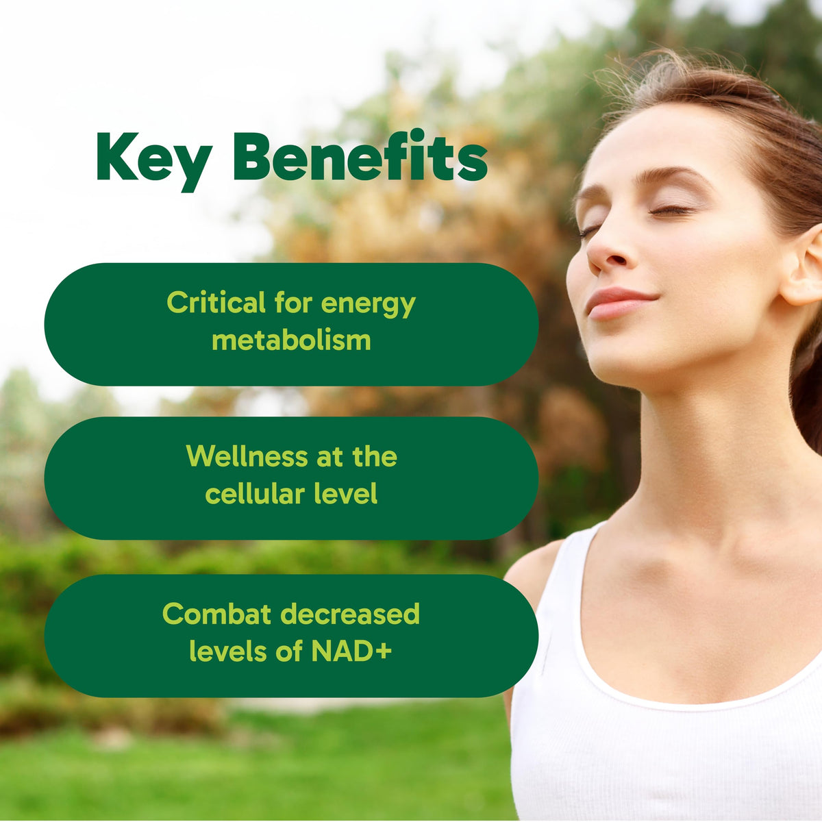 Organika Canadian-Made NAD+ Booster - NRC - for Energy Metabolism, Healthy Aging, Vitamin B3, and Cellular Health - 60vcaps, 60 Day Supply 🍁 All In One Marketplace Canada