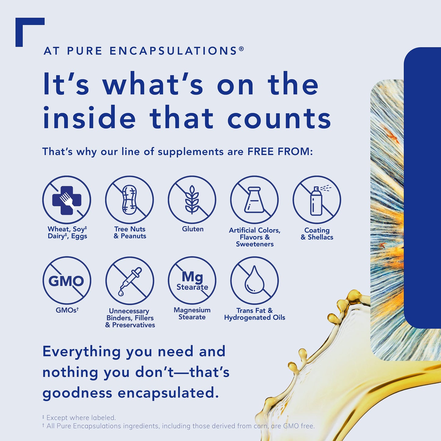 Pure Encapsulations Zinc 15 mg - Zinc Picolinate Supplement for Immune System Support - For Wound Healing - With Premium Zinc Picolinate - 180 Capsules 🍁 All In One Marketplace Canada