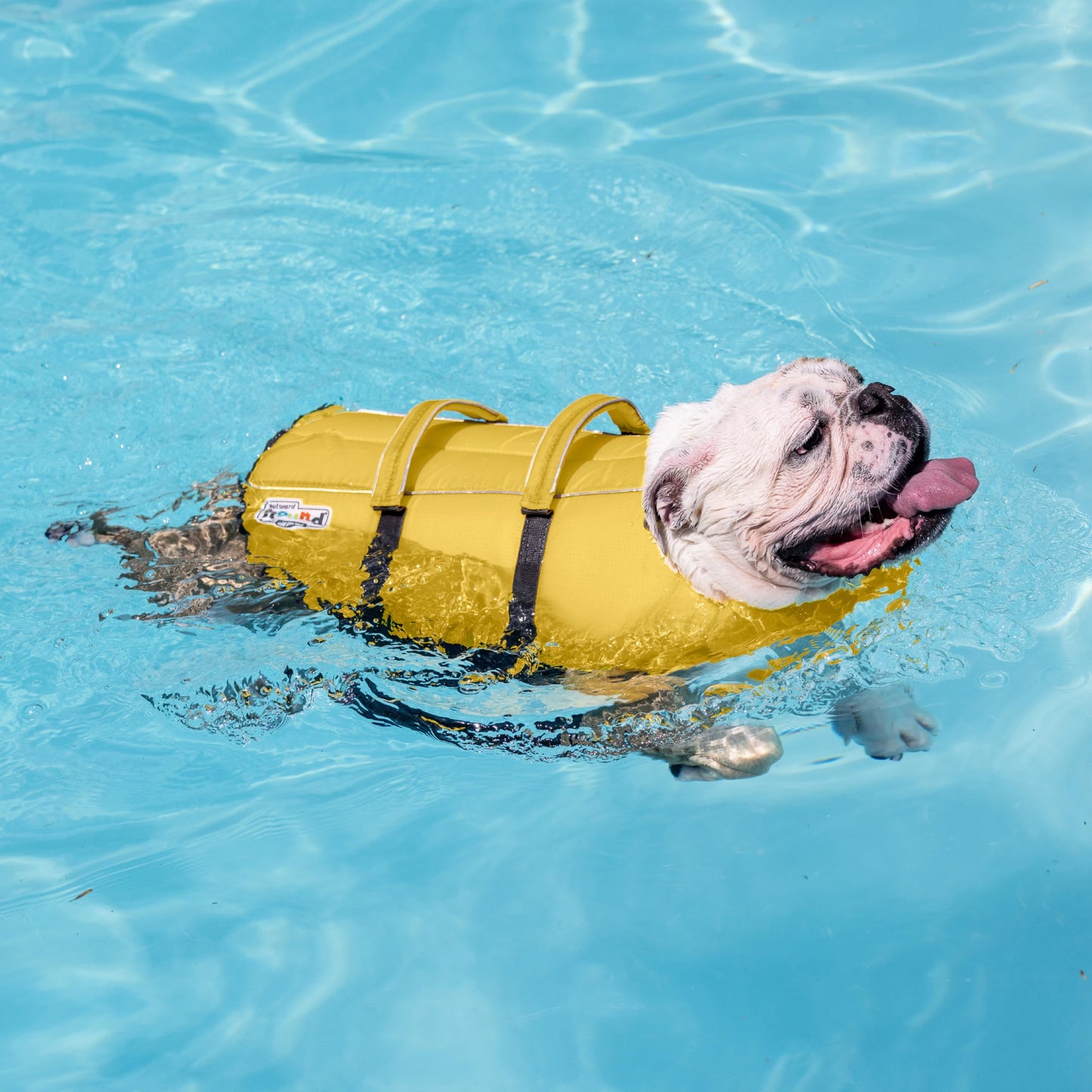 Outward Hound Granby Splash Dog Life Jacket with Handle, Reflective Floating Vest for Swimming & Boating, Maximum Buoyancy, All Skill Levels, Extra-Small Dogs & Puppies (11–15" Girth), Yellow, X-Small 🍁 All In One Marketplace Canada